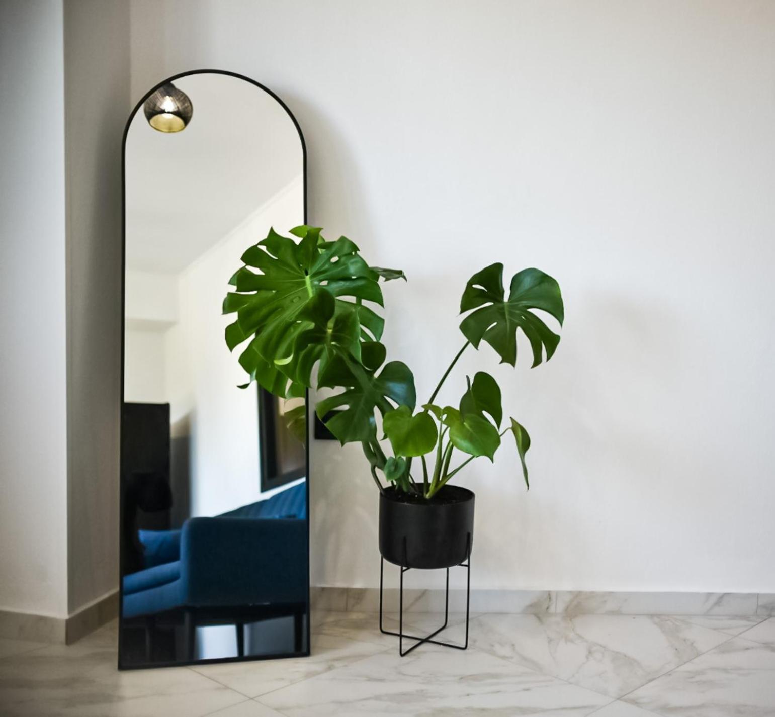 Superior Apartment photo 3
