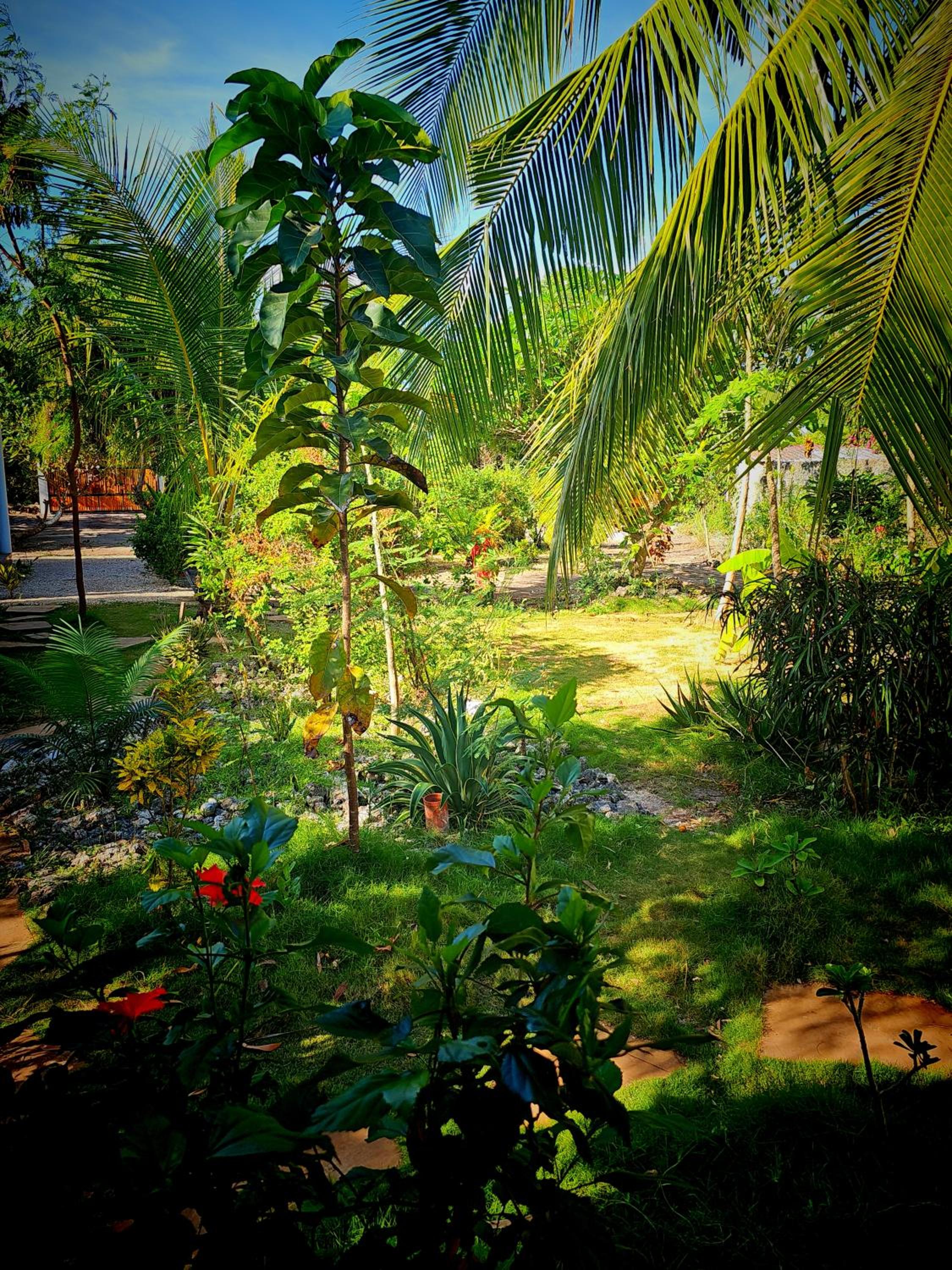 Vacation Home photo 2