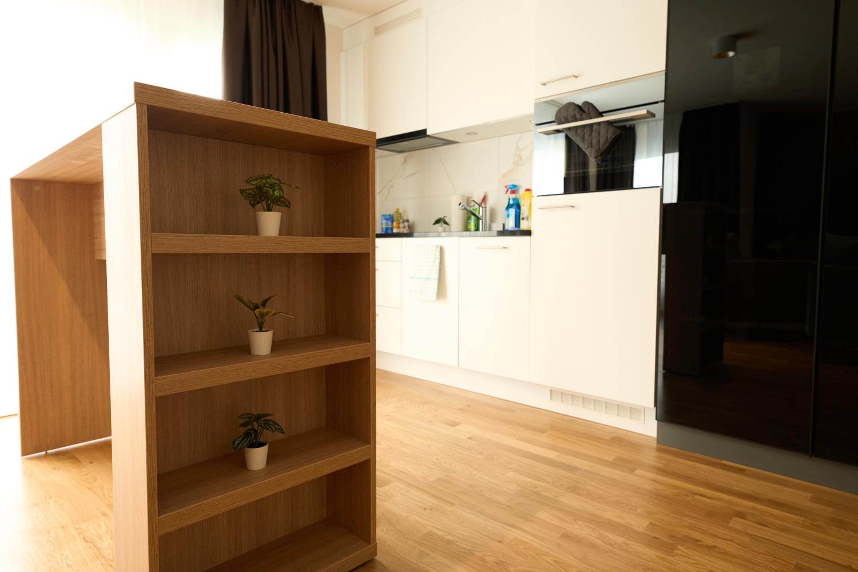 Apartment with Terrace photo 2