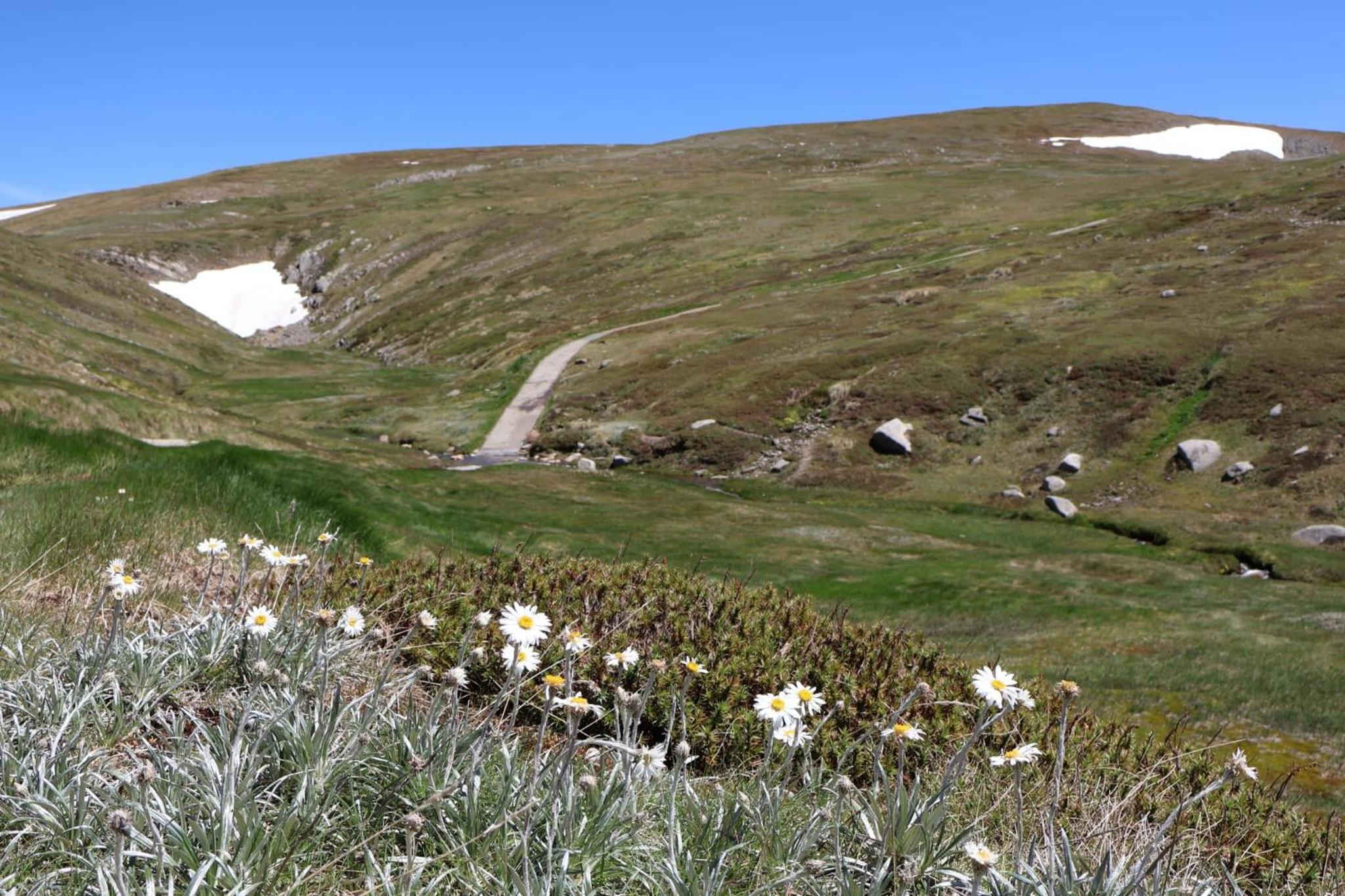 Five-Bedroom House photo 2