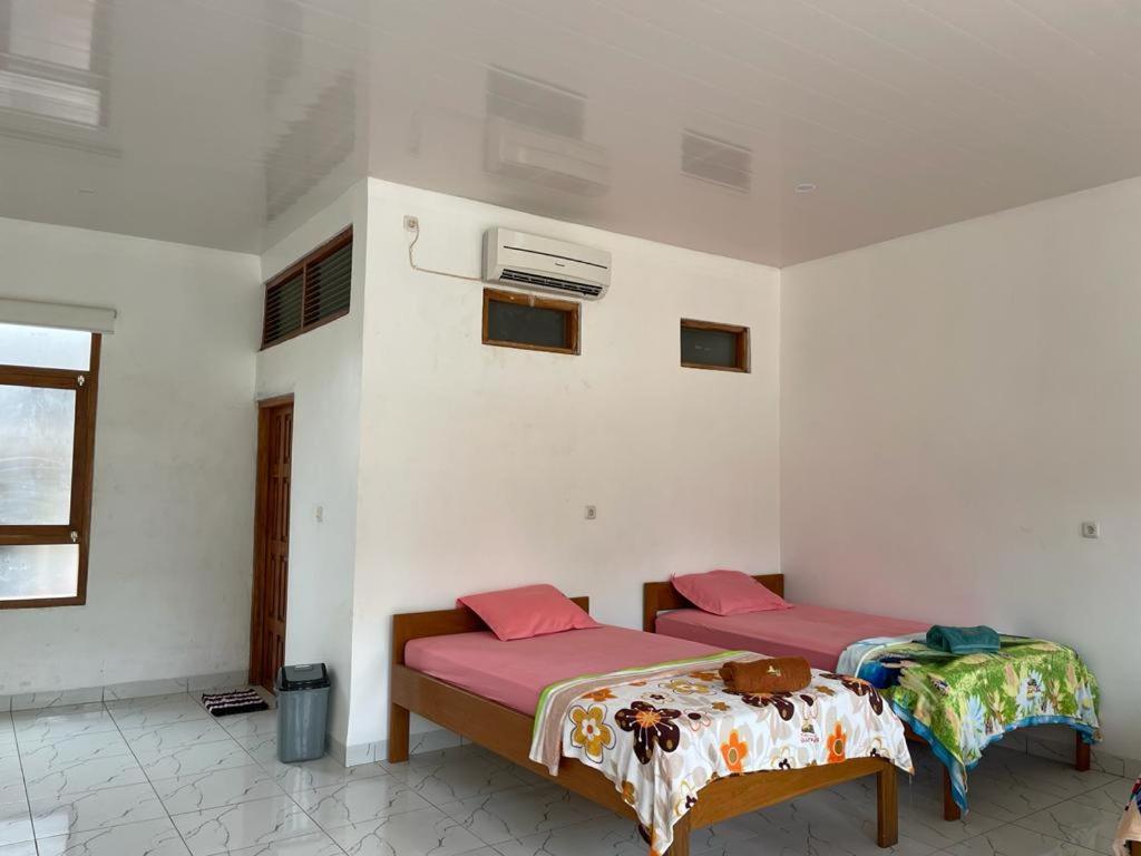 Twin Room photo 2