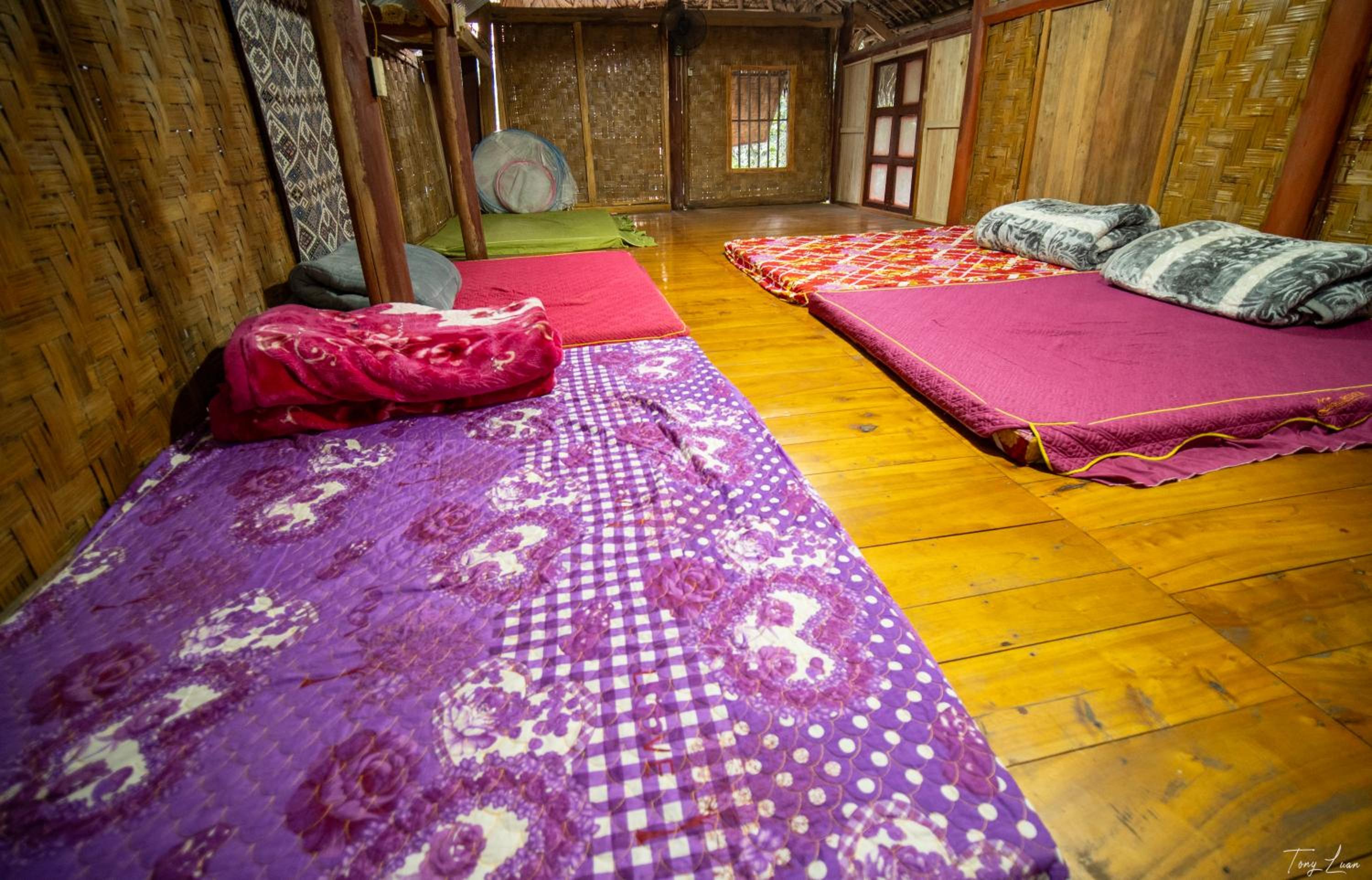 Mixed Dormitory Room photo 2