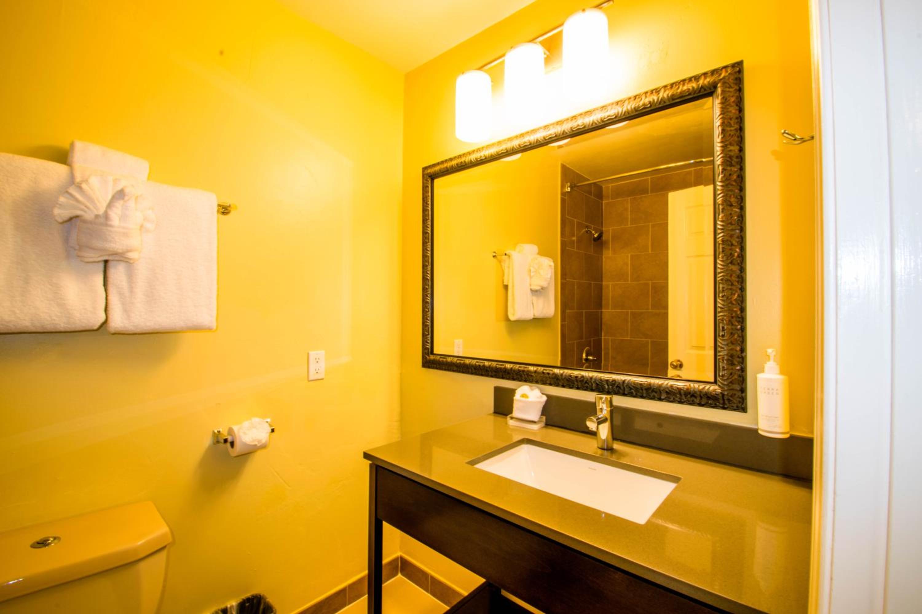 Deluxe King Room - Photo 16