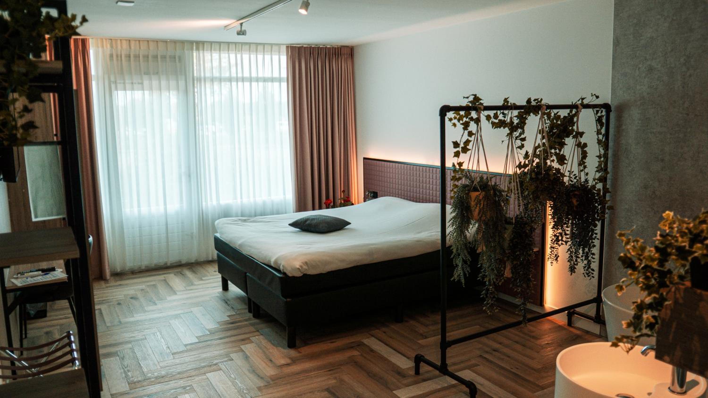 King Room with Spa Bath photo 2