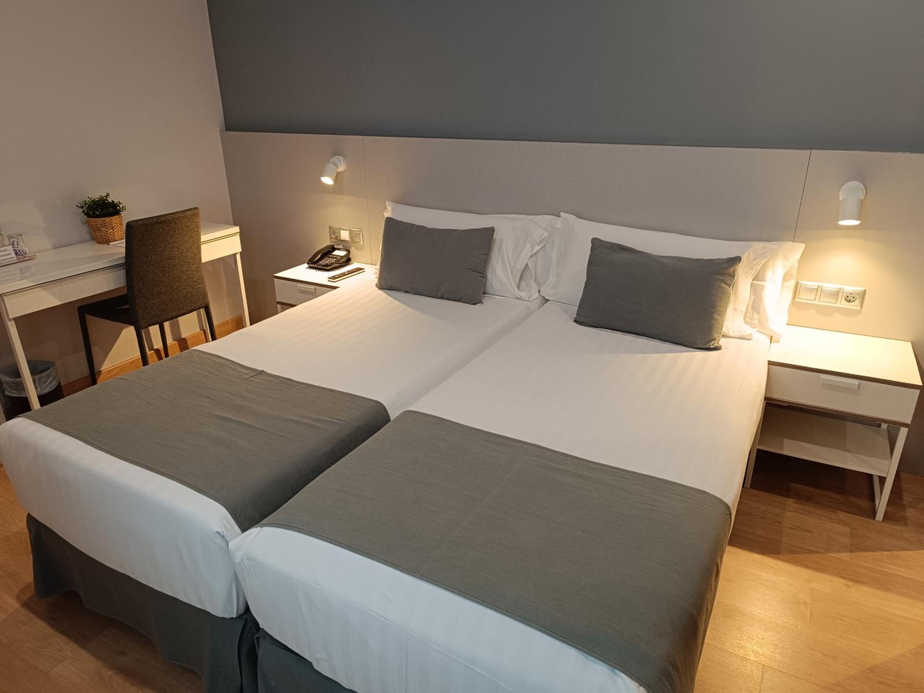 Habitación Estándar con Dos Camas Individuales