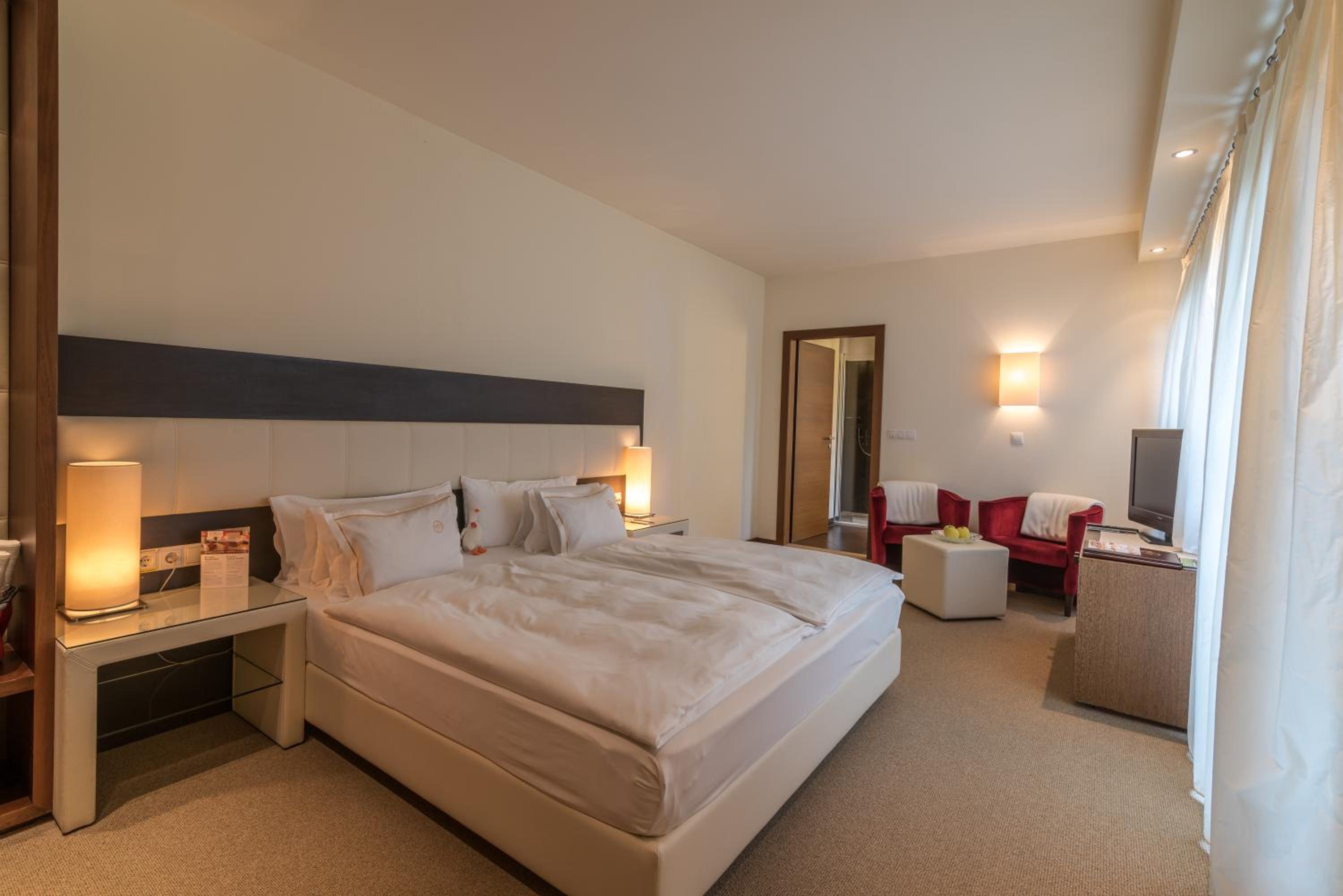 Chambre Double Supérieure pour Occupation Simple