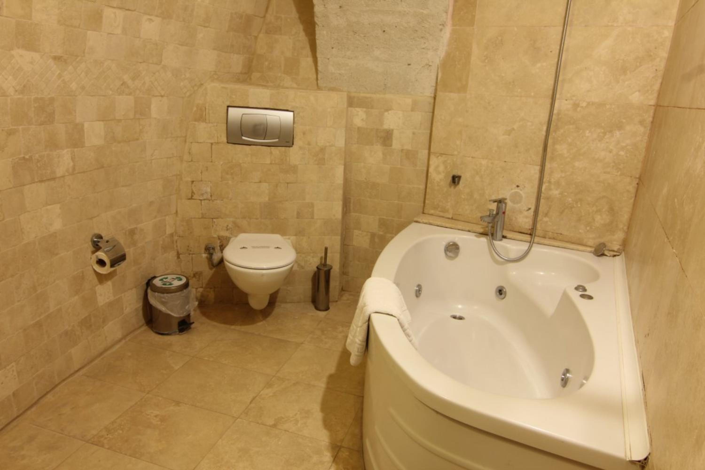 Deluxe Suite photo 3
