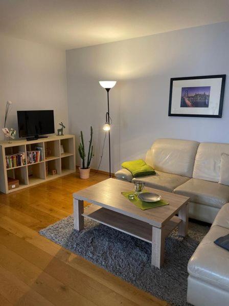 One-Bedroom Apartment photo 3