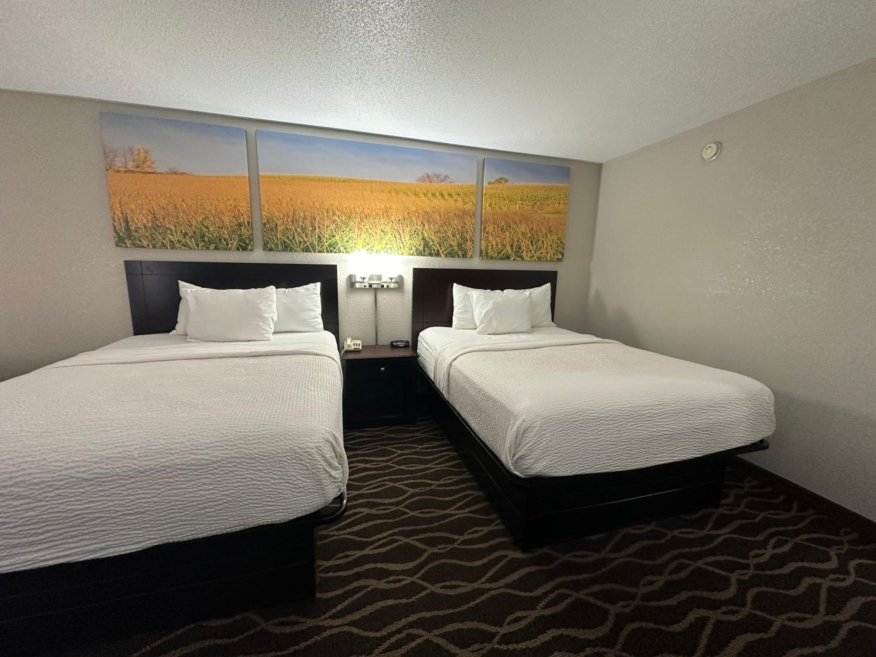 Queen Room with Two Queen Beds - Non-Smoking photo 3