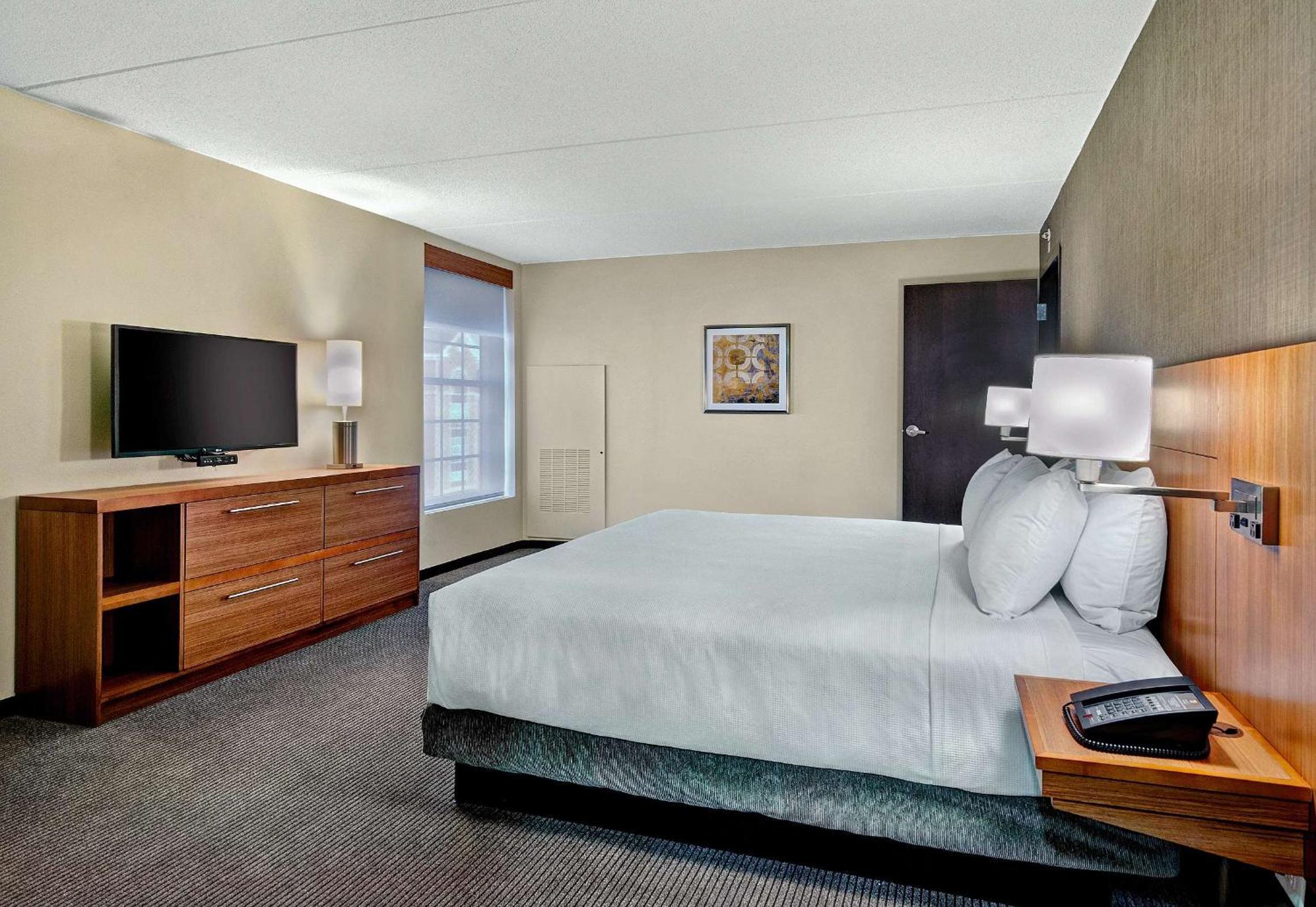 One-Bedroom King Suite with Sofa Bed