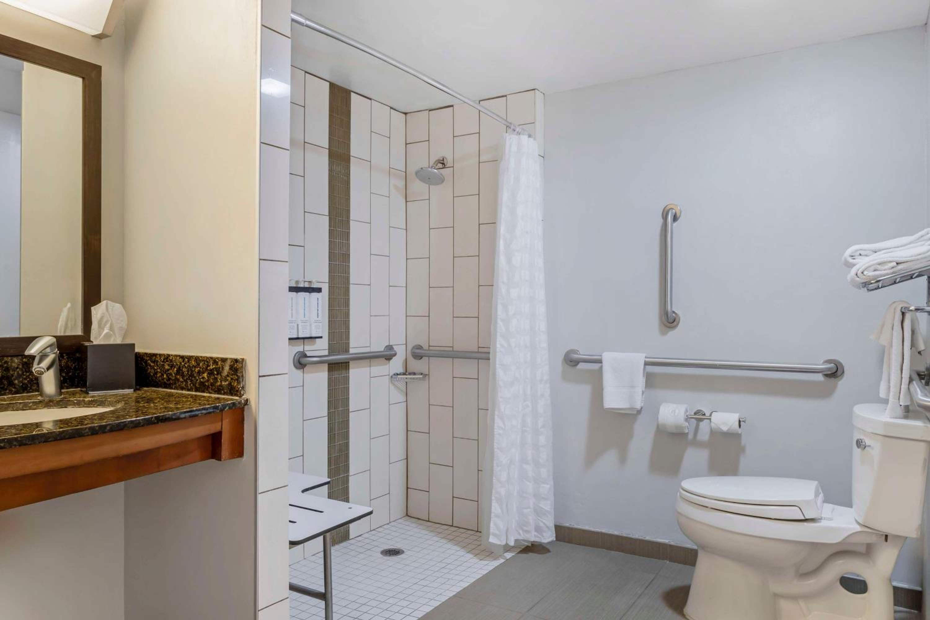King Room with Sofa Bed and Roll-In Shower - Disability Access - Photo 8