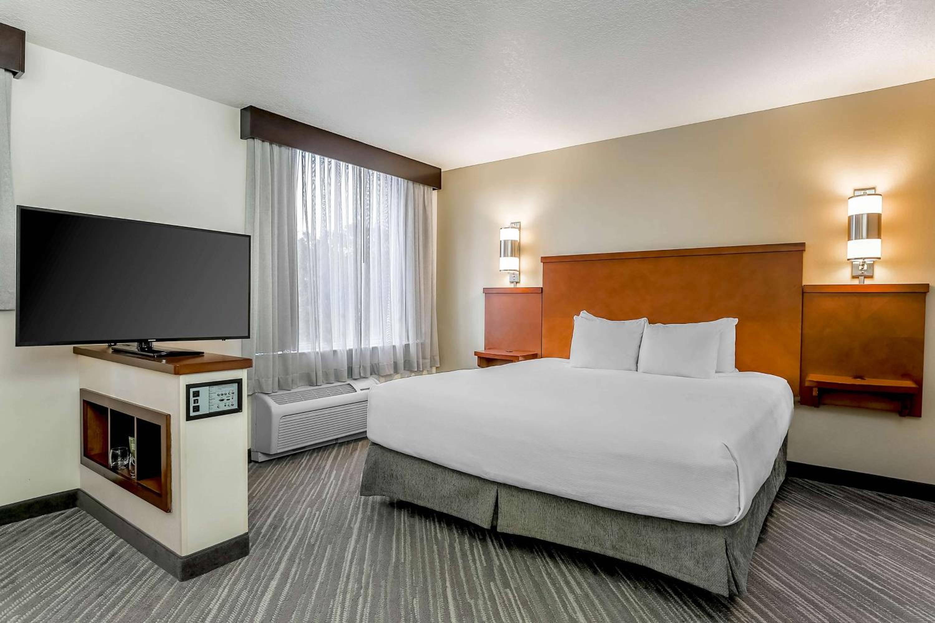King Room With Sofa Bed And Roll-In Shower - Disability Access - Photo 4