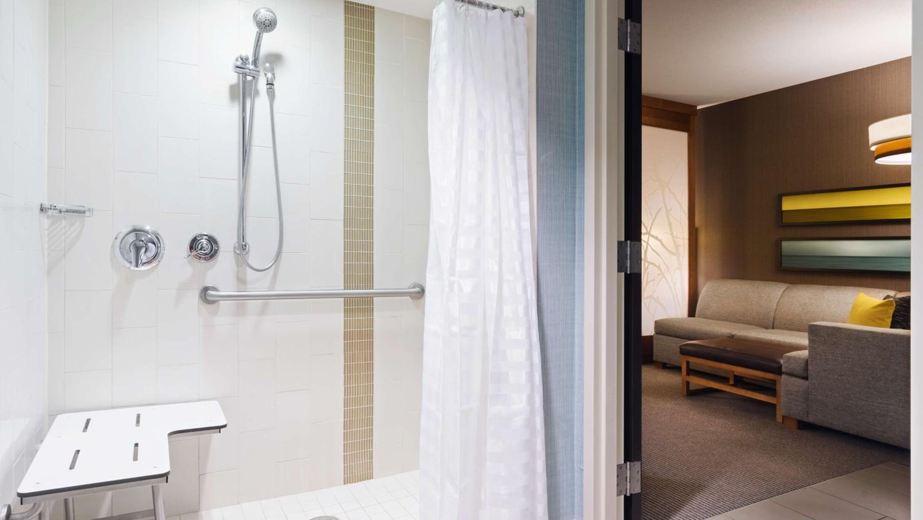 Specialty King Room with Sofa Bed and Roll-In Shower - City View/Mobility Accessible