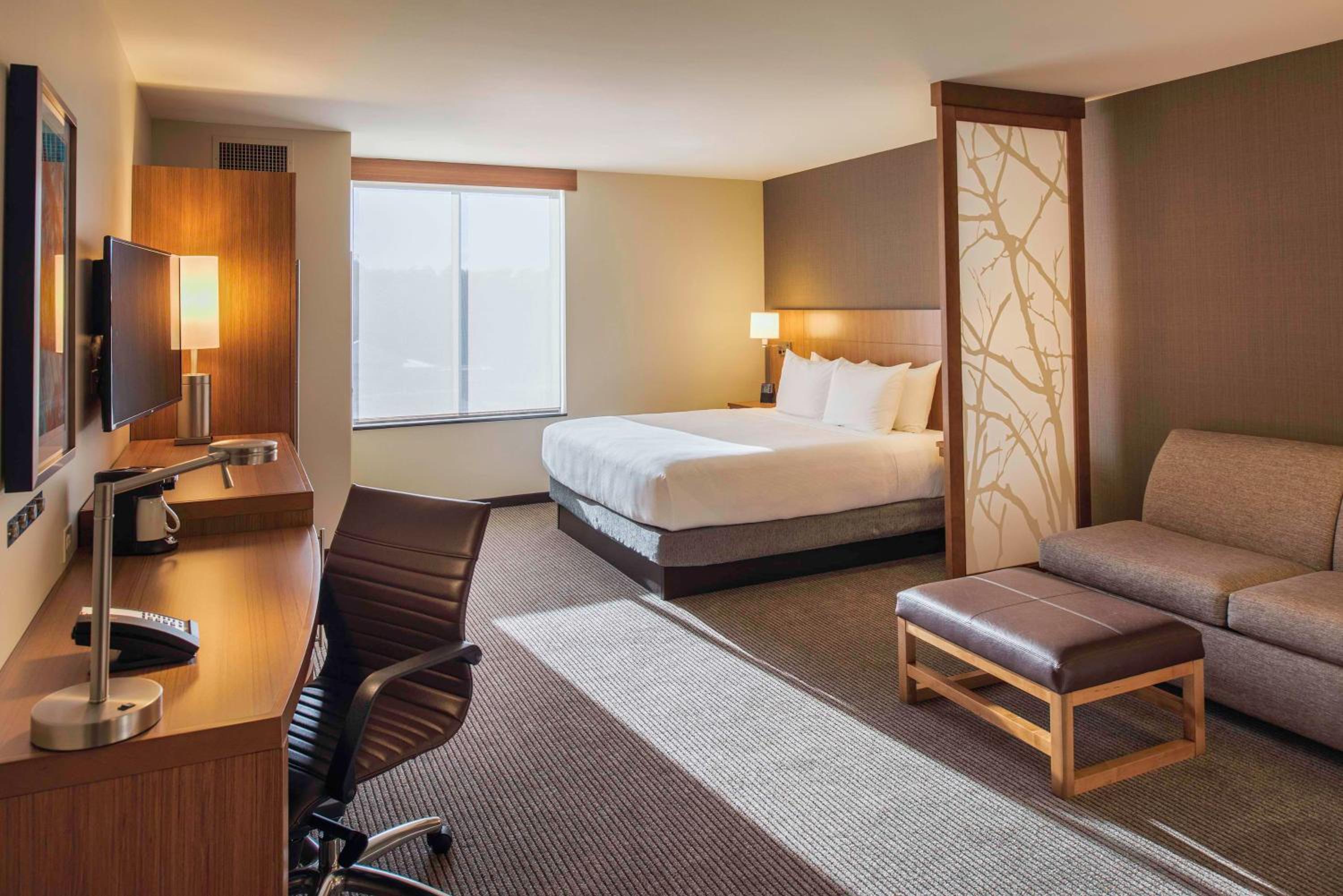 King Room with Sofa Bed