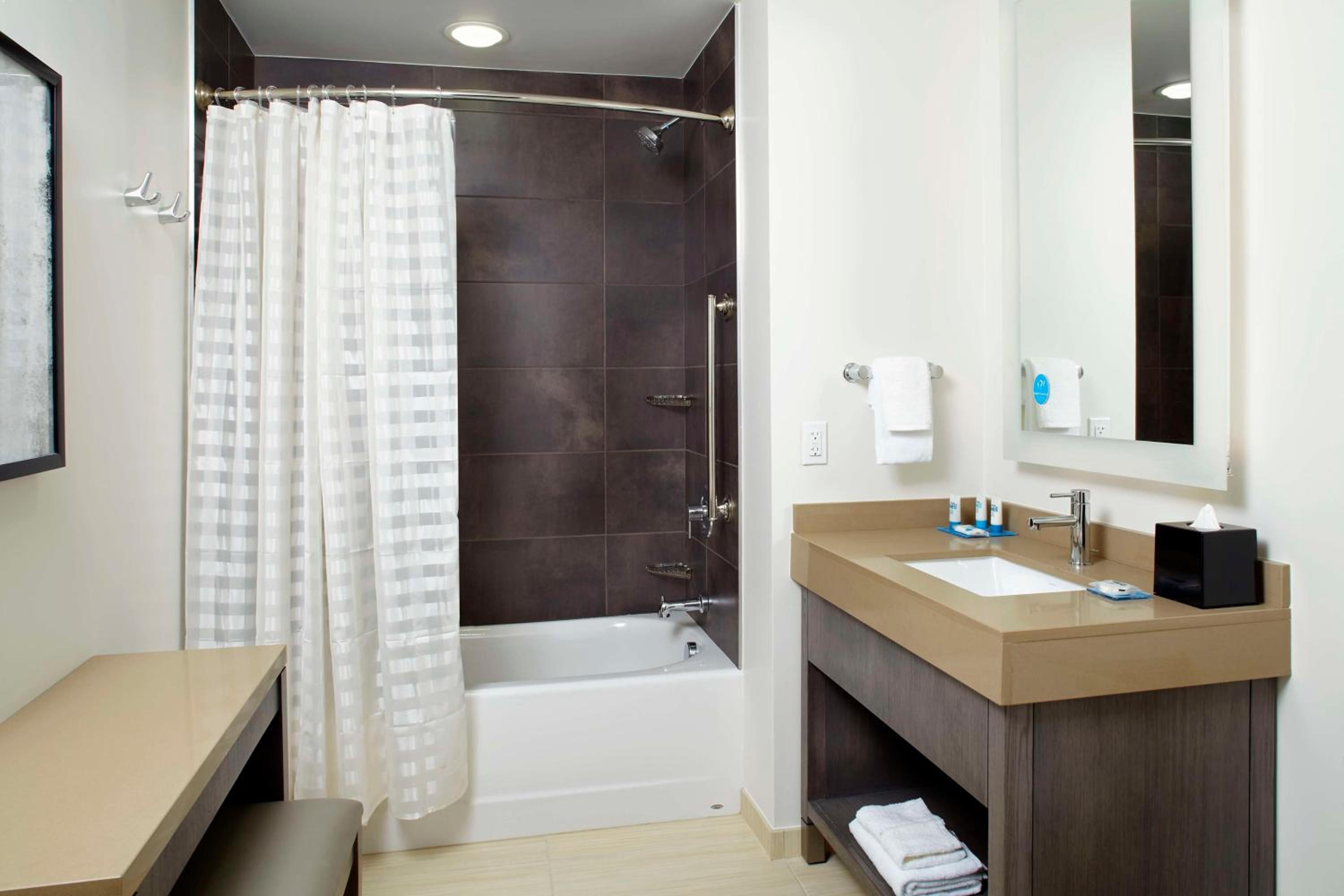 King Studio Suite with Kitchen and Sofa Bed