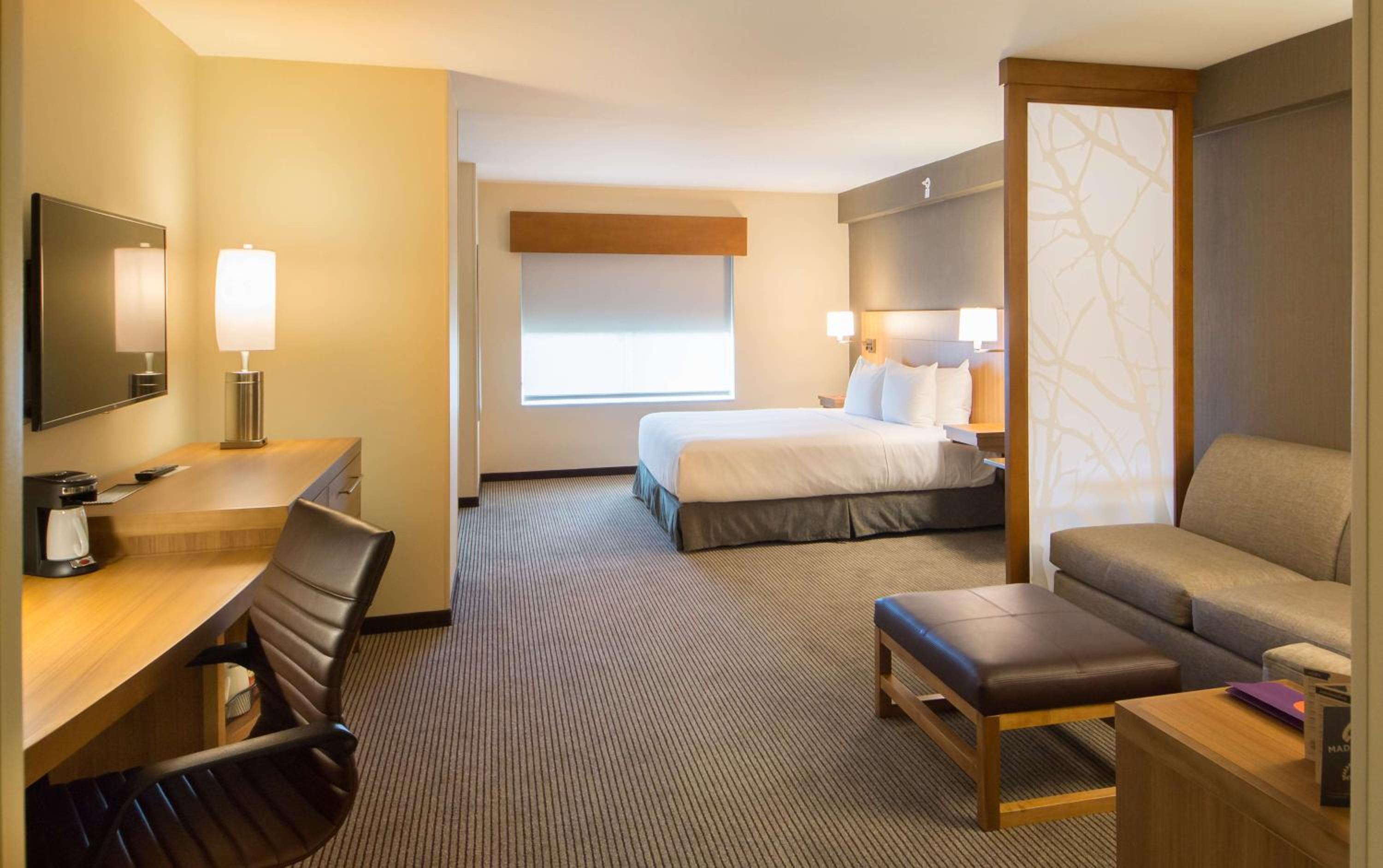 King Room with Sofa Bed