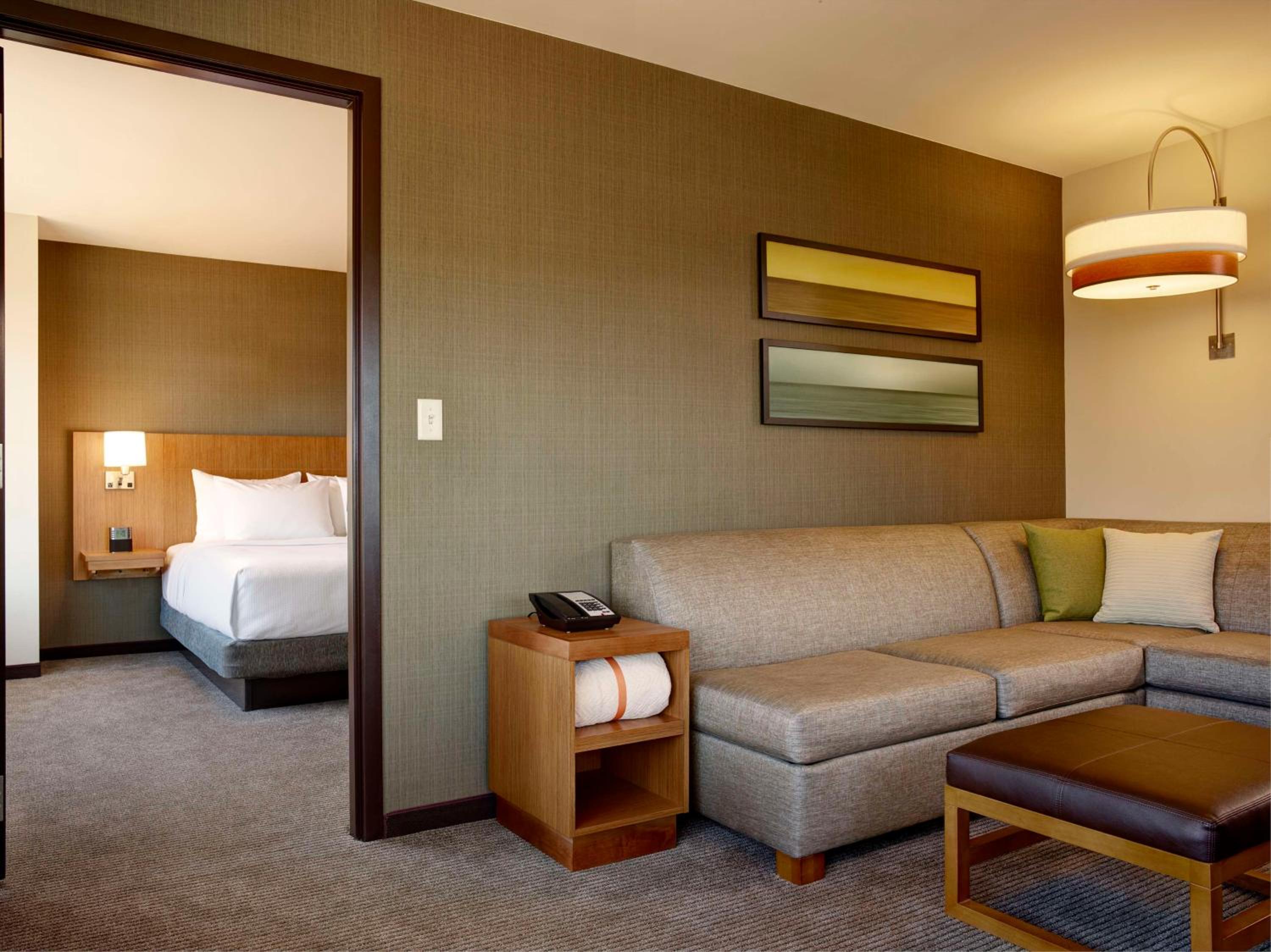 One-Bedroom King Suite with Sofa Bed