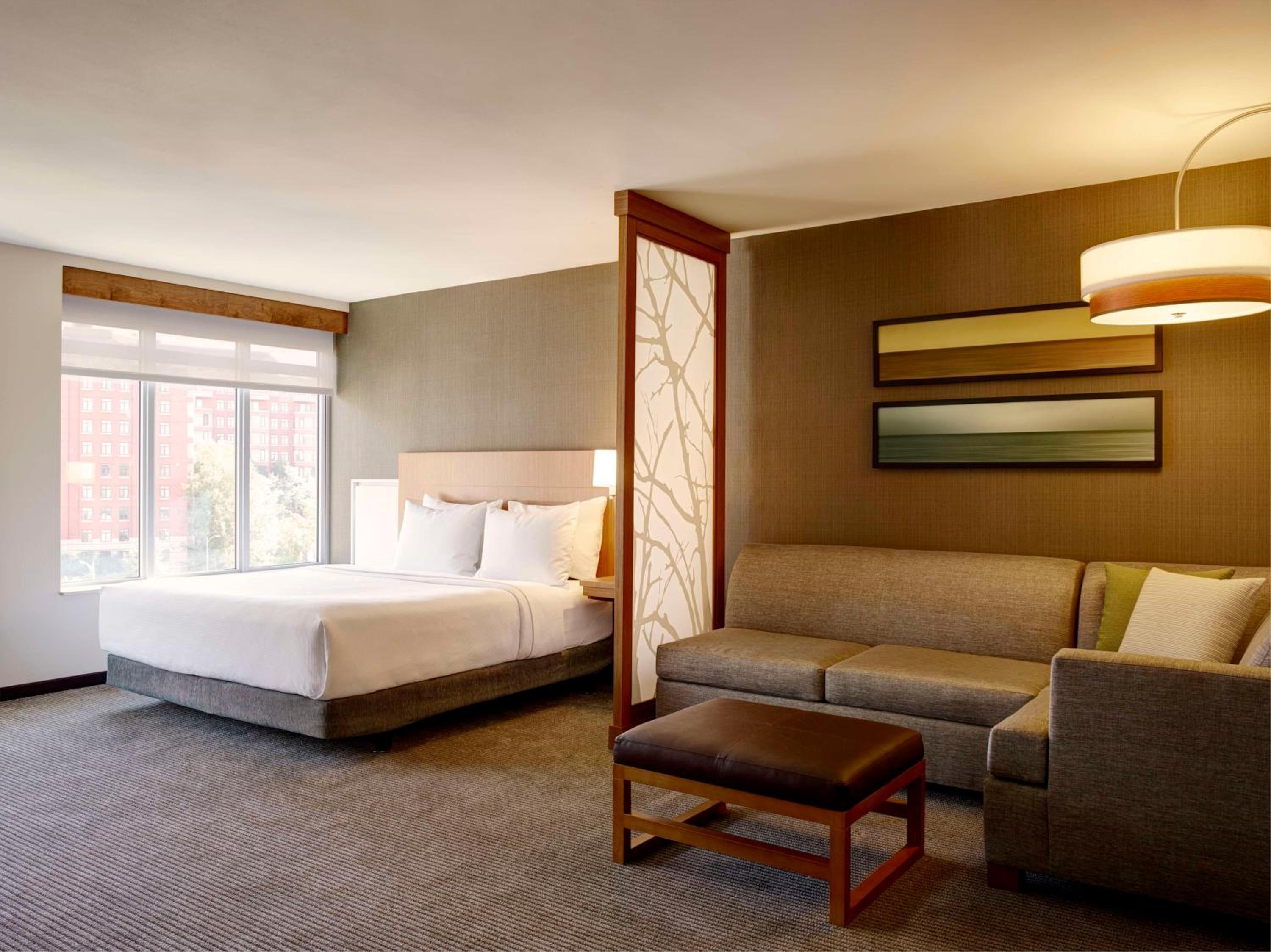 King Room with Sofa Bed and Accessible Tub - Disability Access