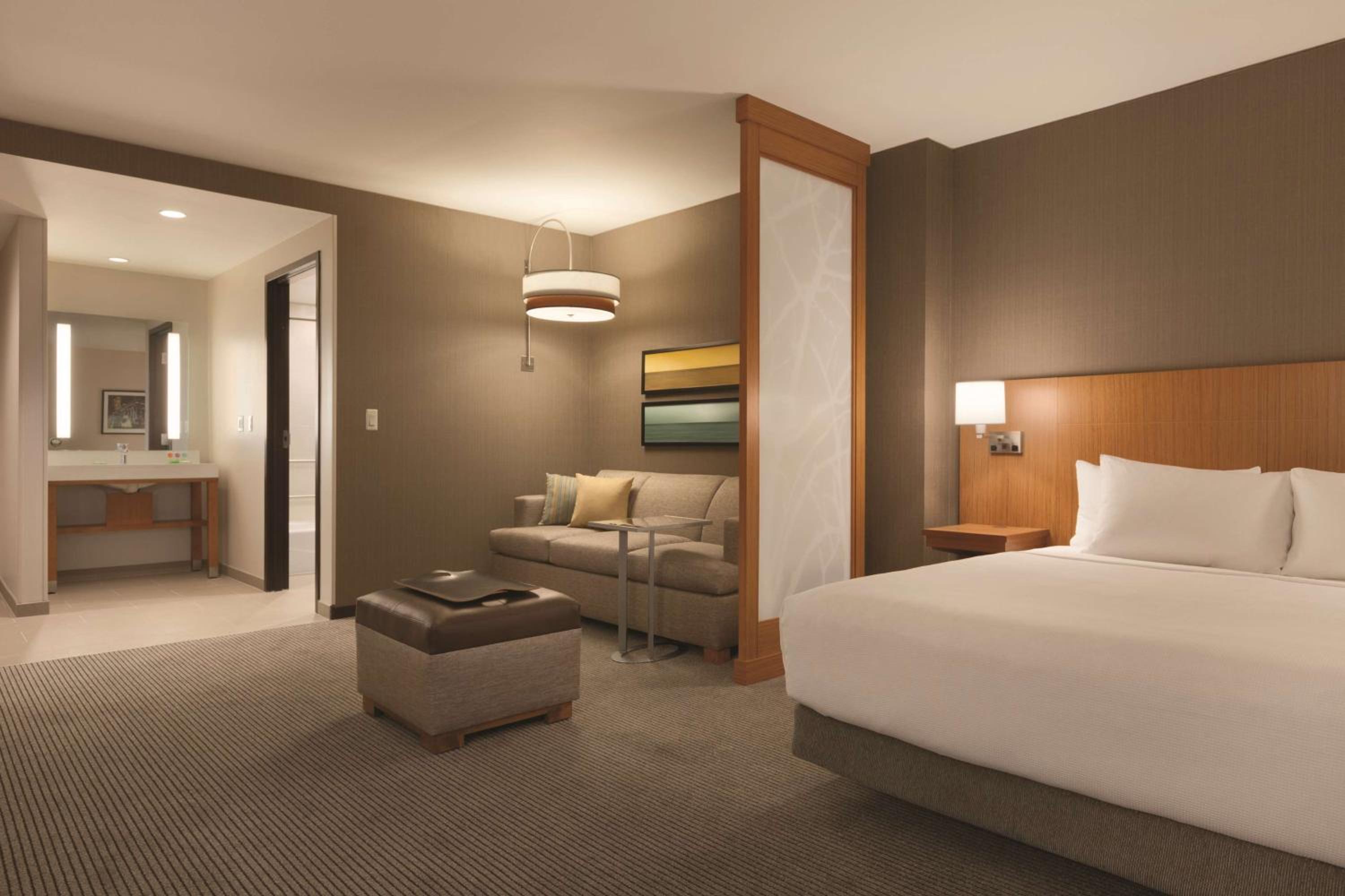King Room with Sofa Bed and Accessible Tub - Disability Access