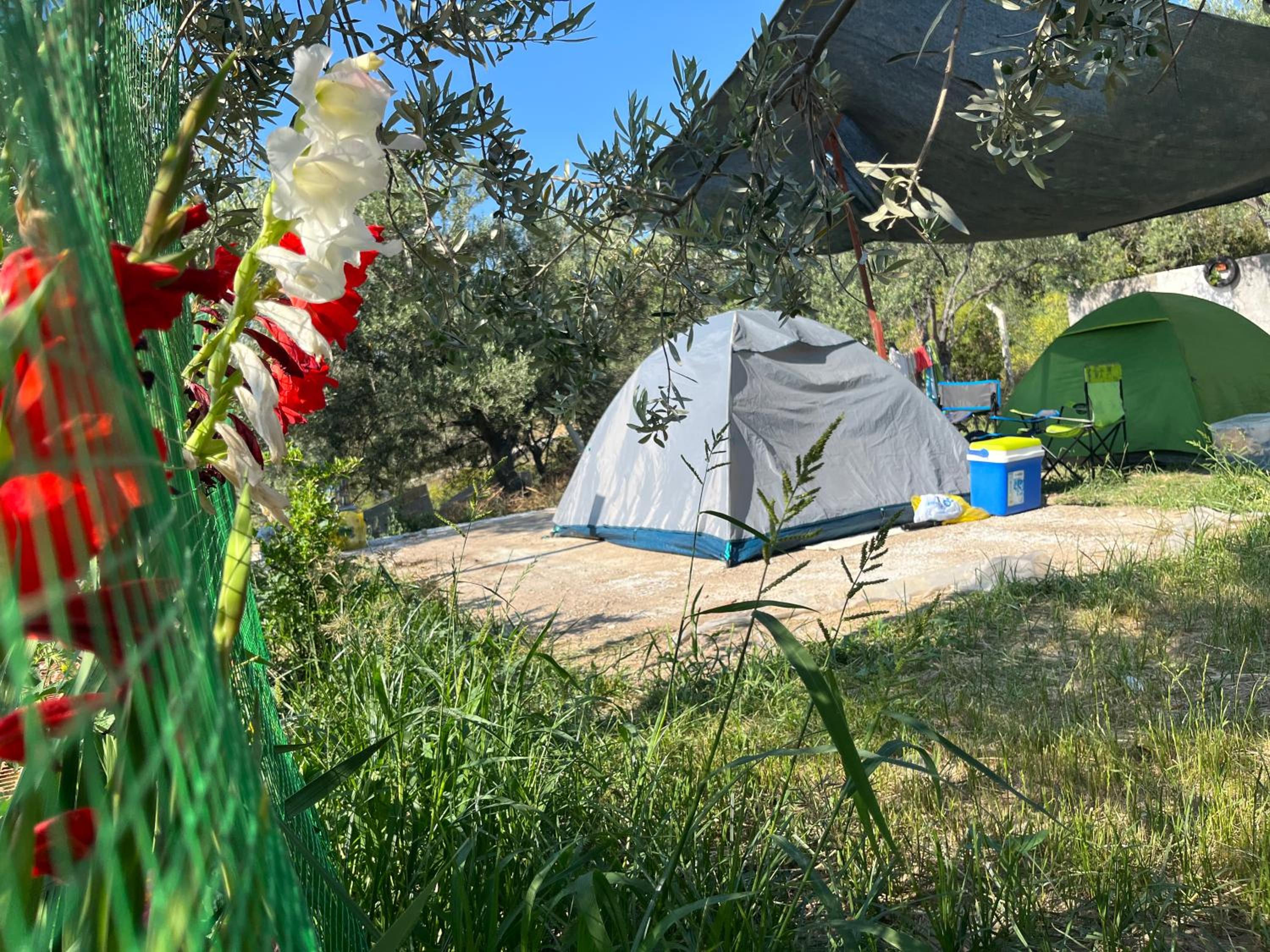 Tent photo 2