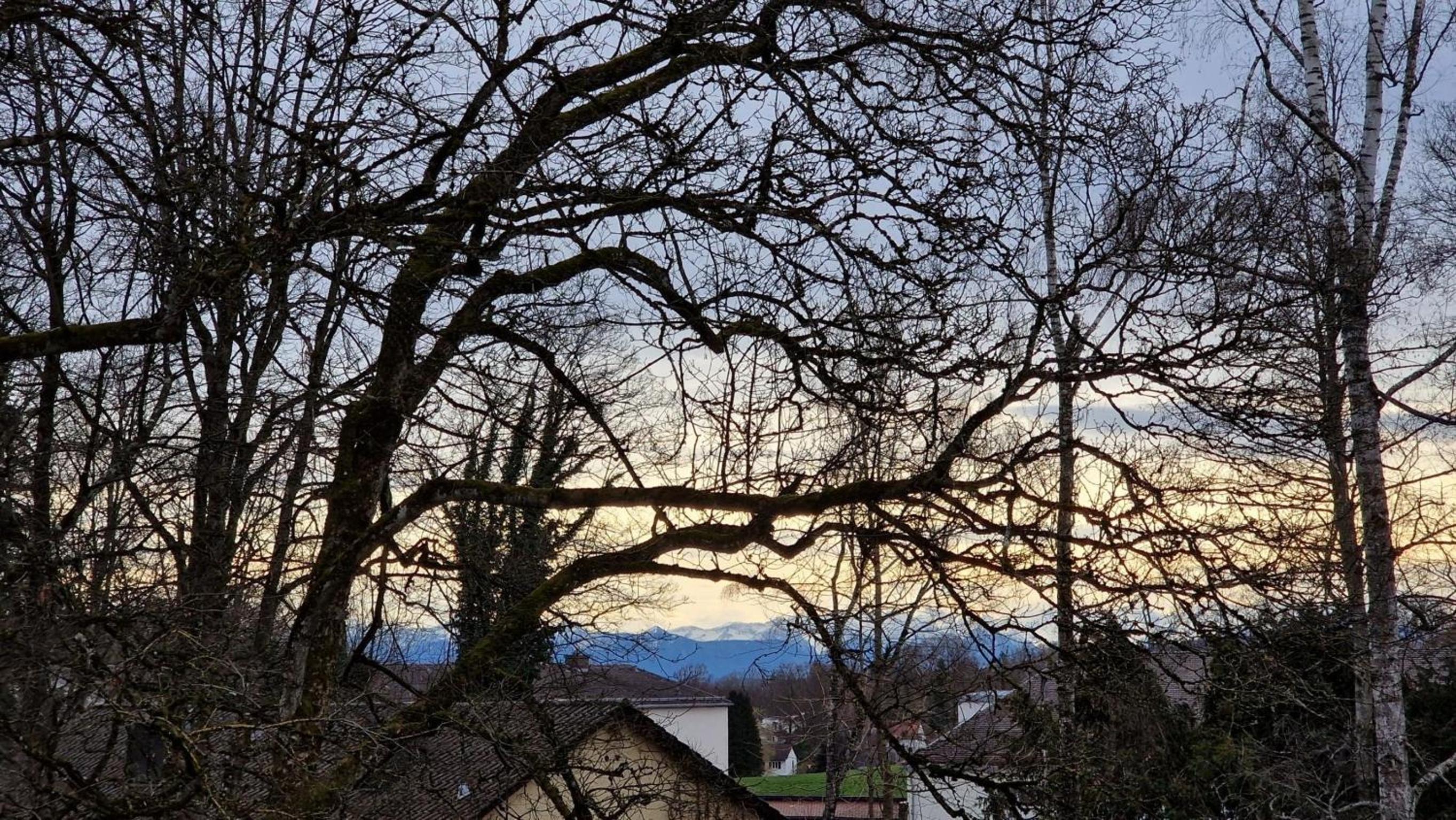 Holiday Home photo 3