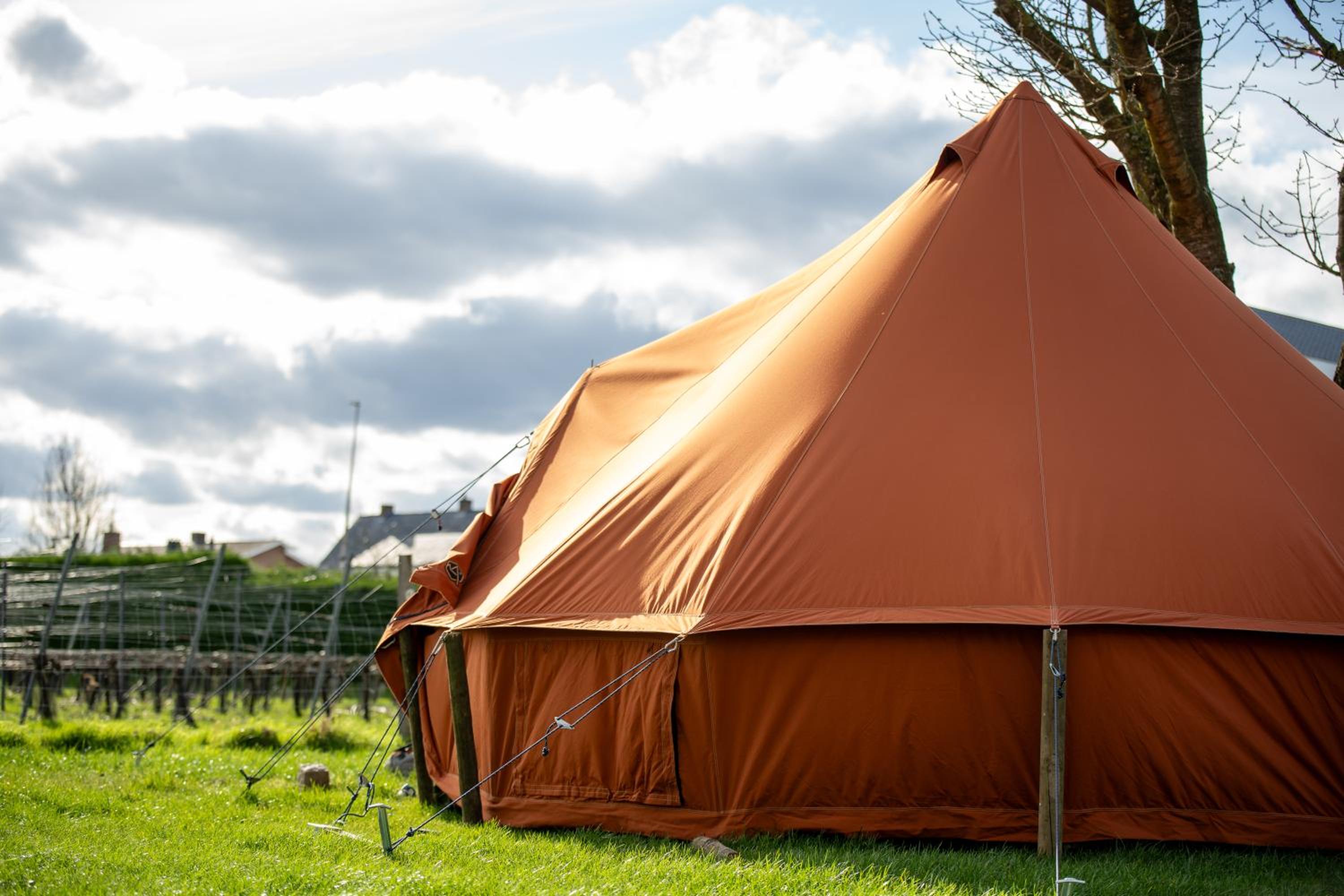 Tent photo 2