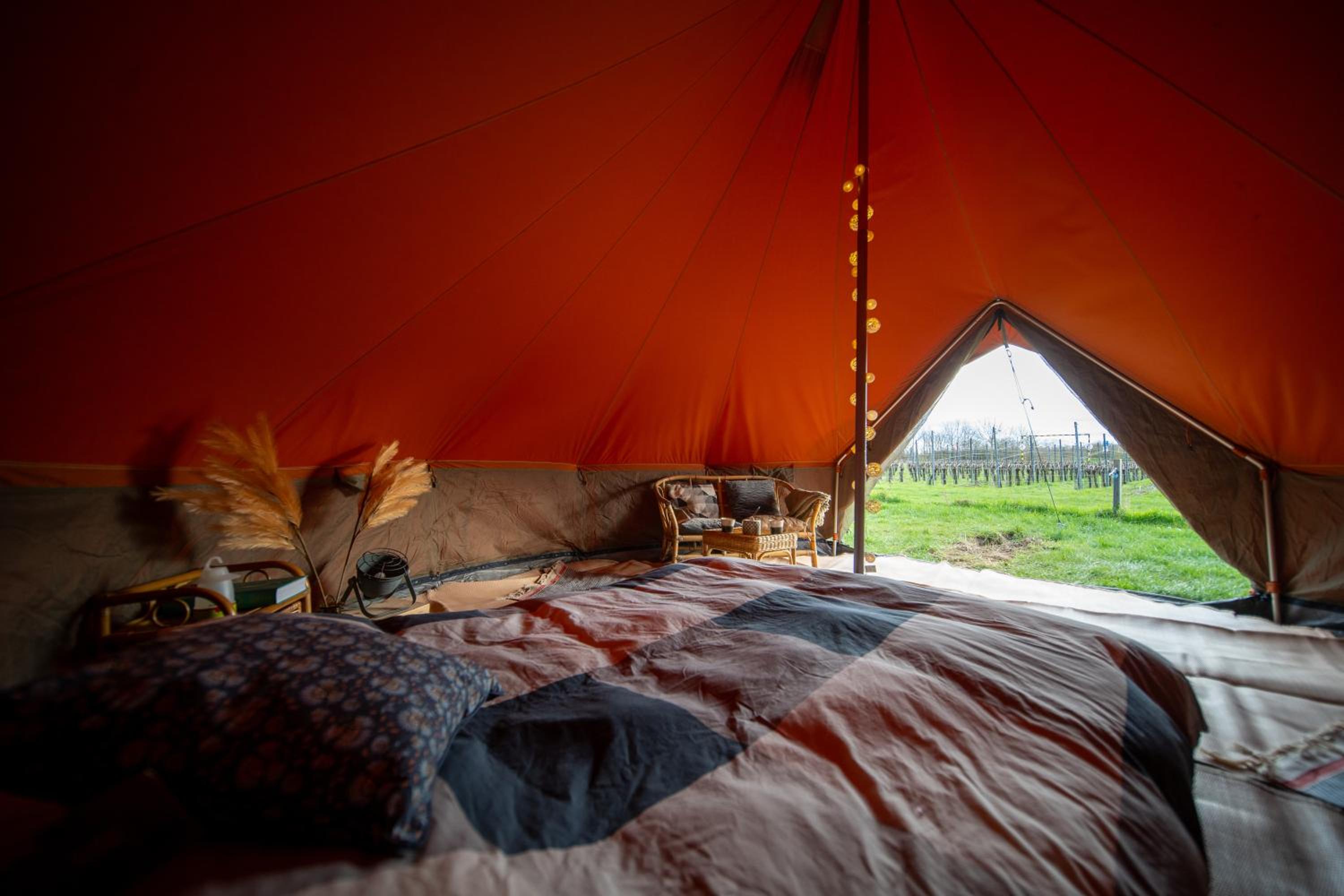 Tent photo 1