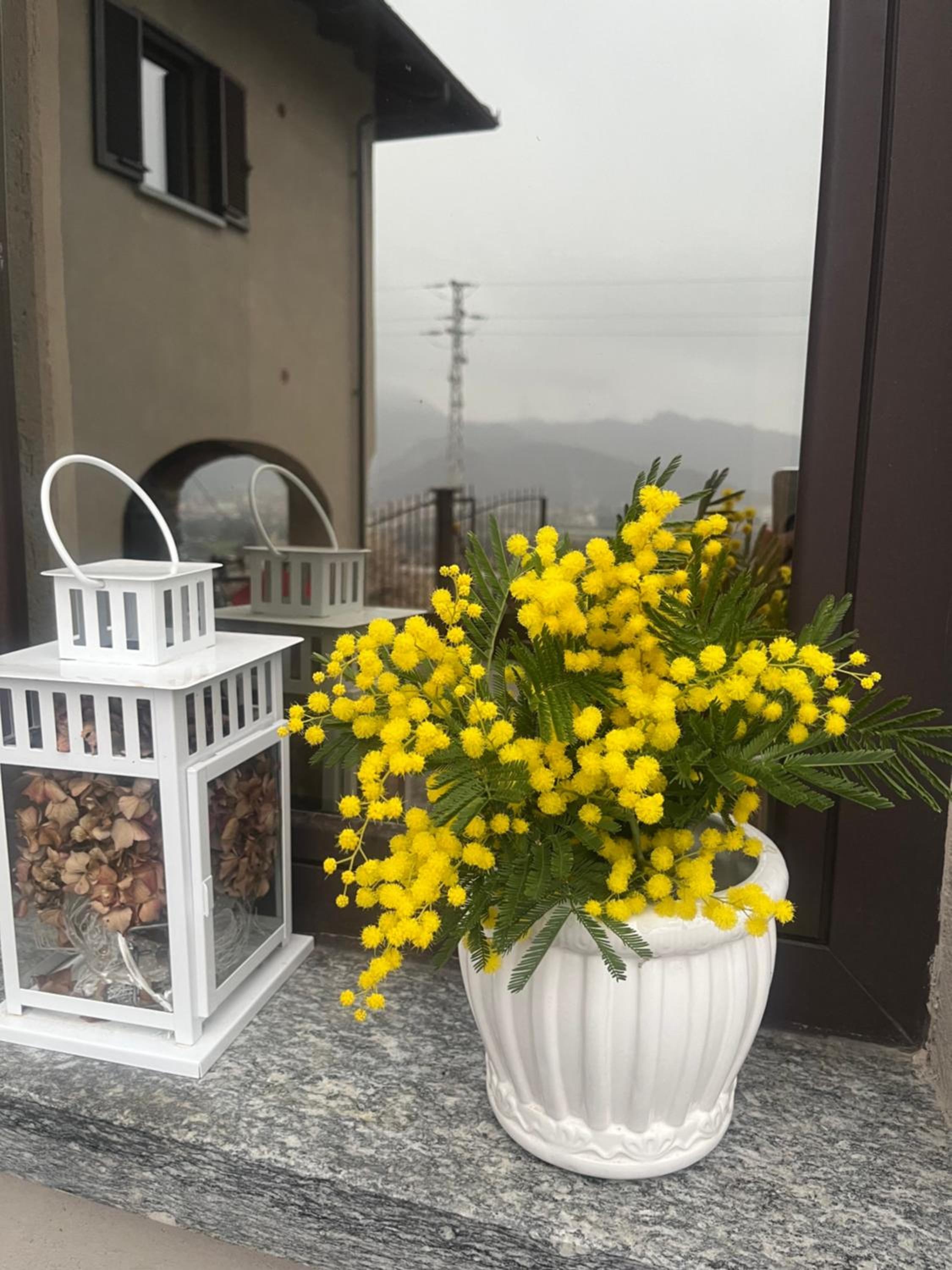 Vacation Home - Photo 8