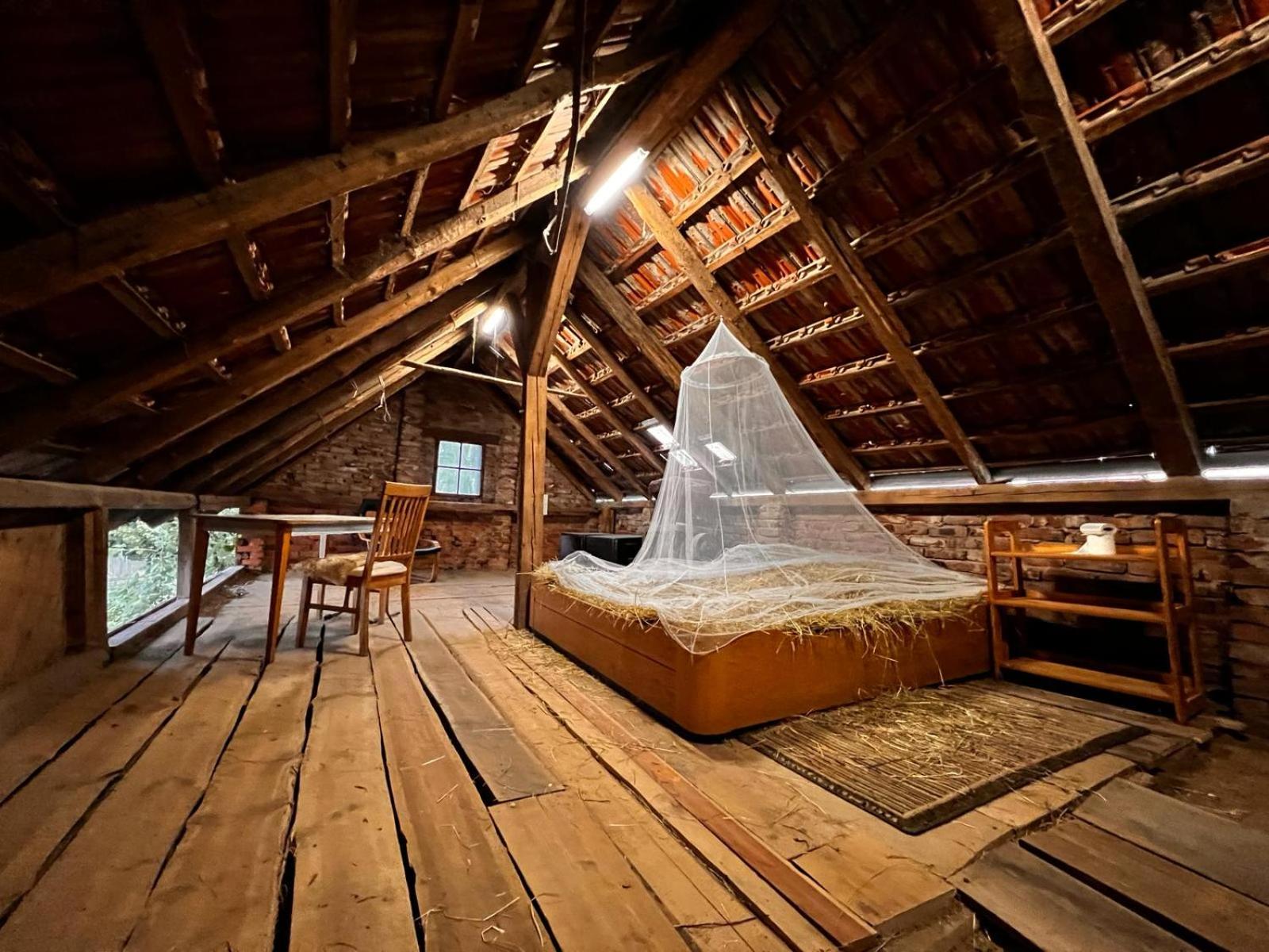 Mixed Dormitory Room photo 1