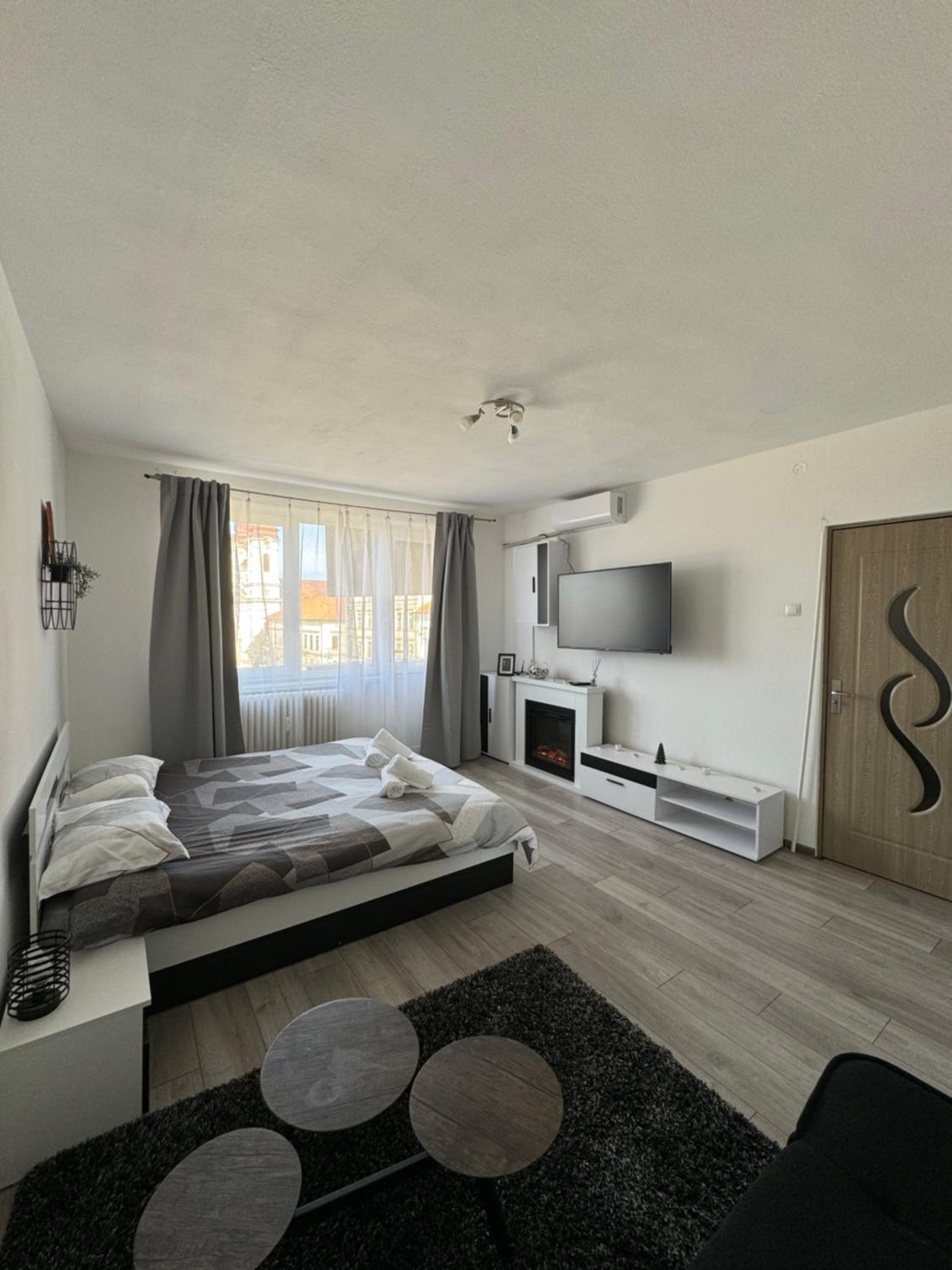 Apartment with Terrace - Photo 3