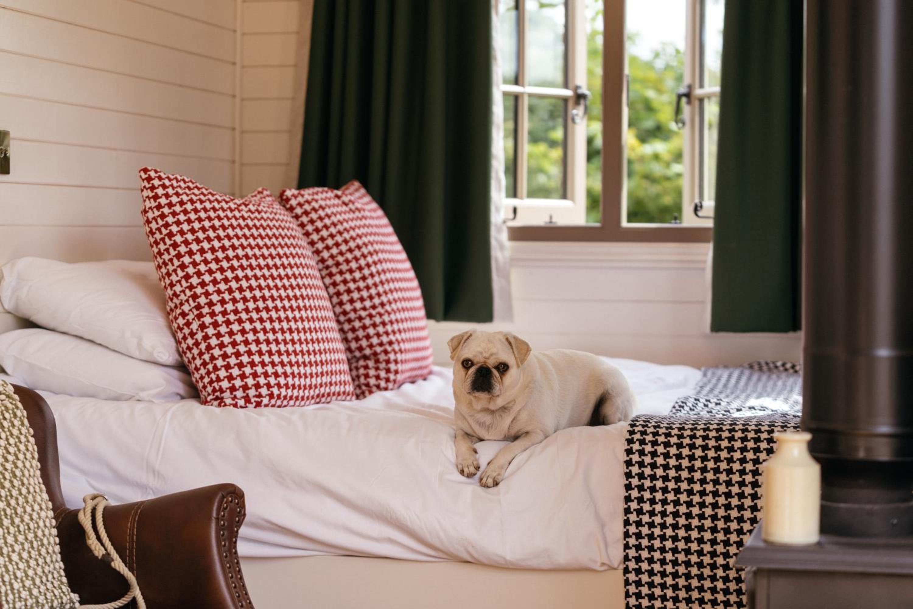 Double Room with Park View