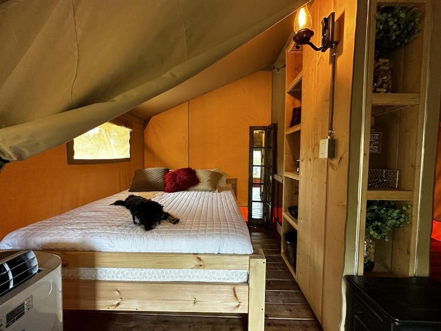 Tent photo 1