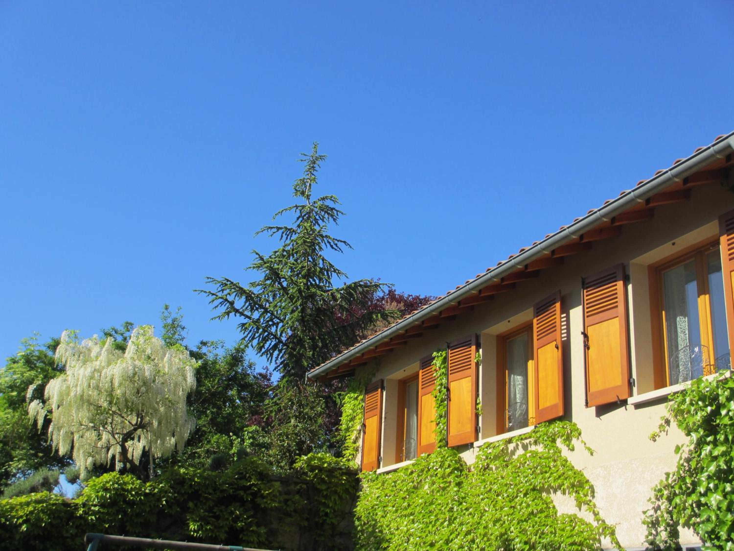Holiday Home (9 Adults) photo 3