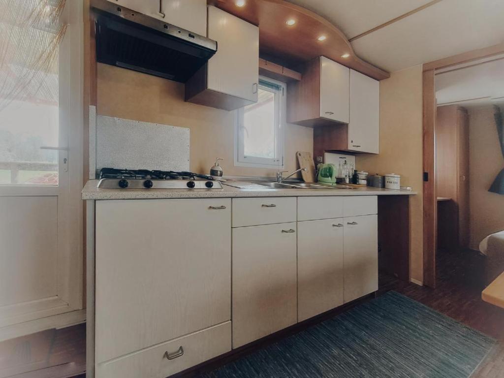 Mobile Home photo 3