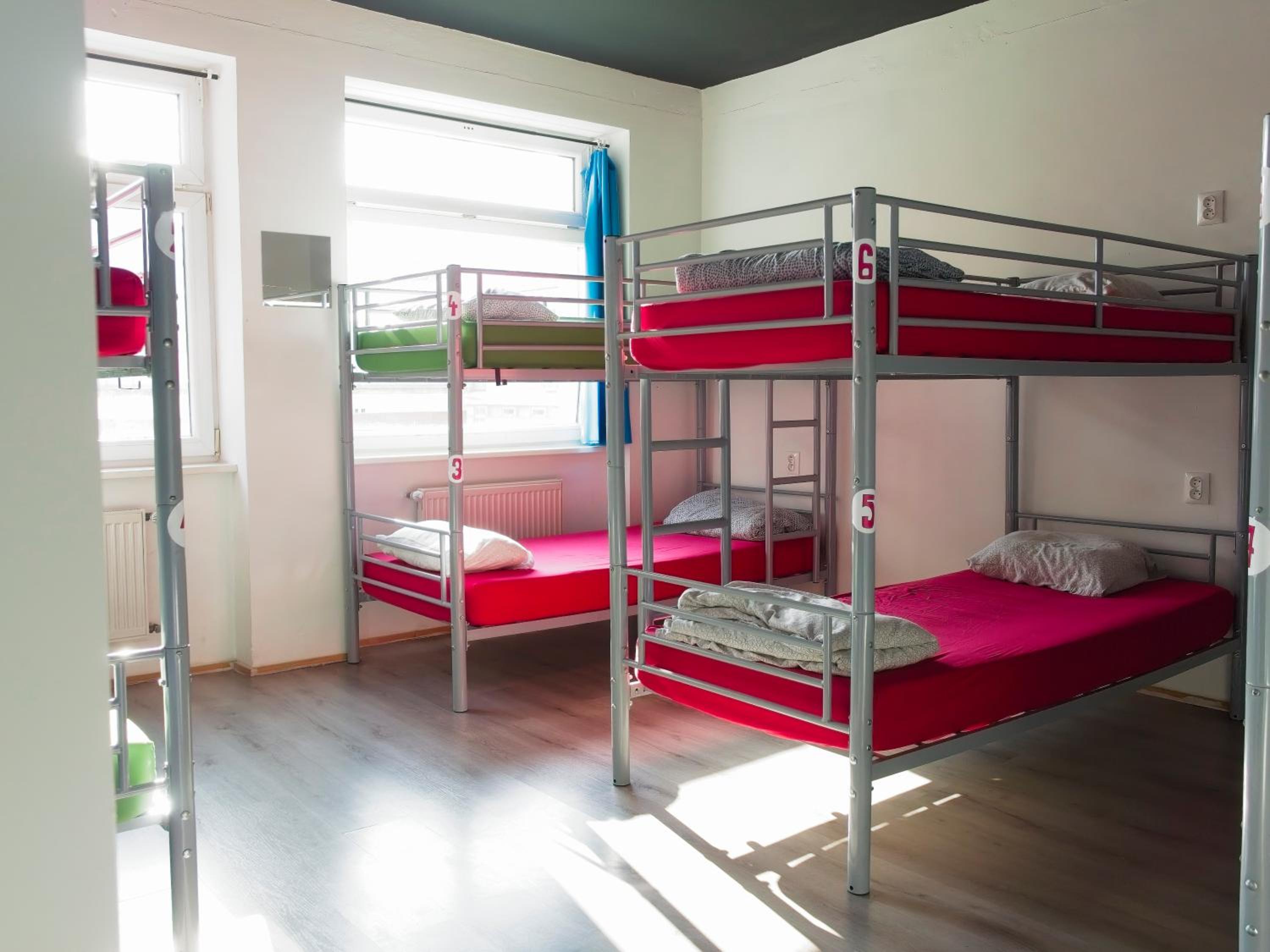 Bed in 8-Bed Mixed Dormitory Room photo 2