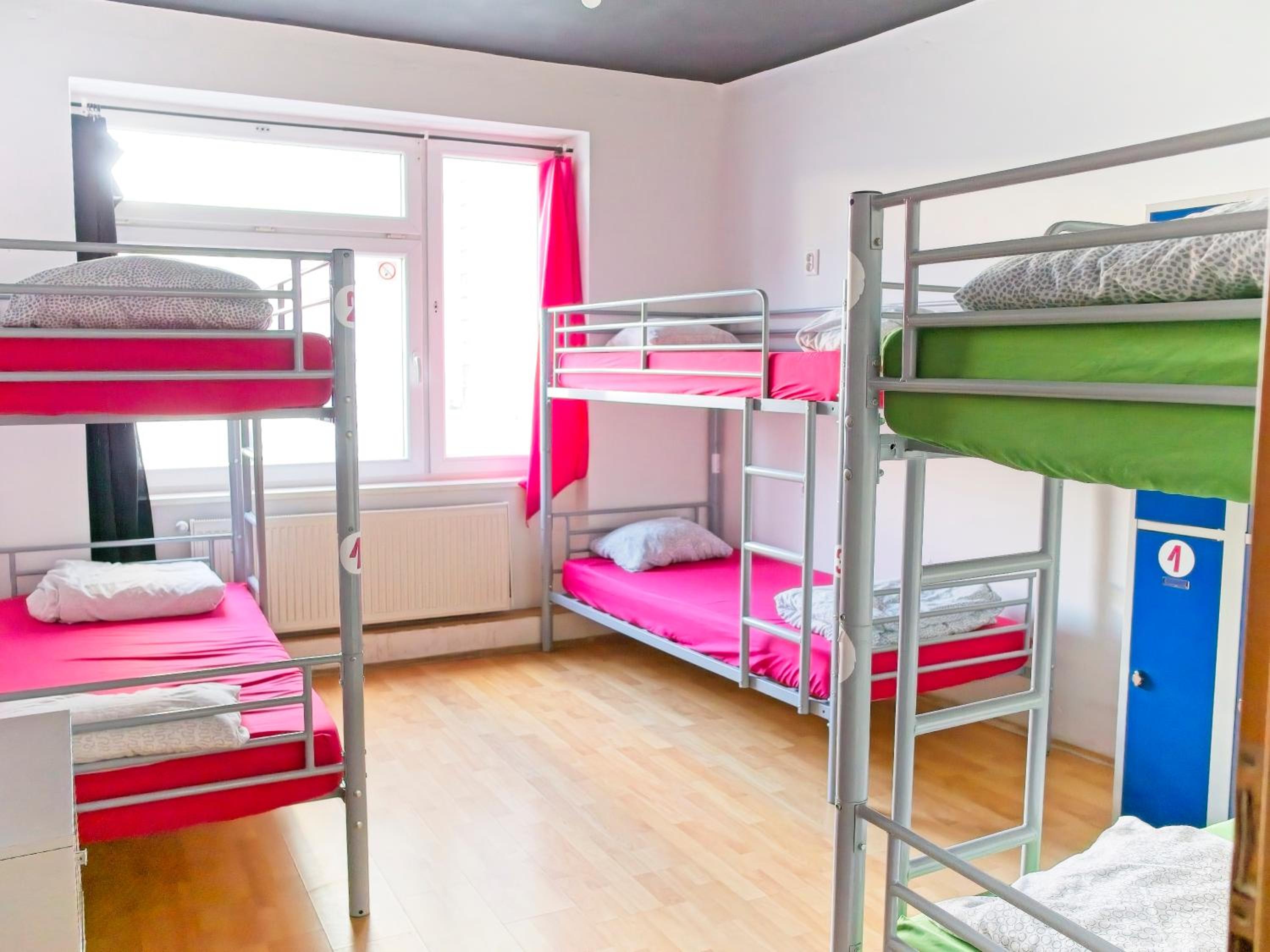 Bed in 14-Bed Mixed Dormitory Room photo 3