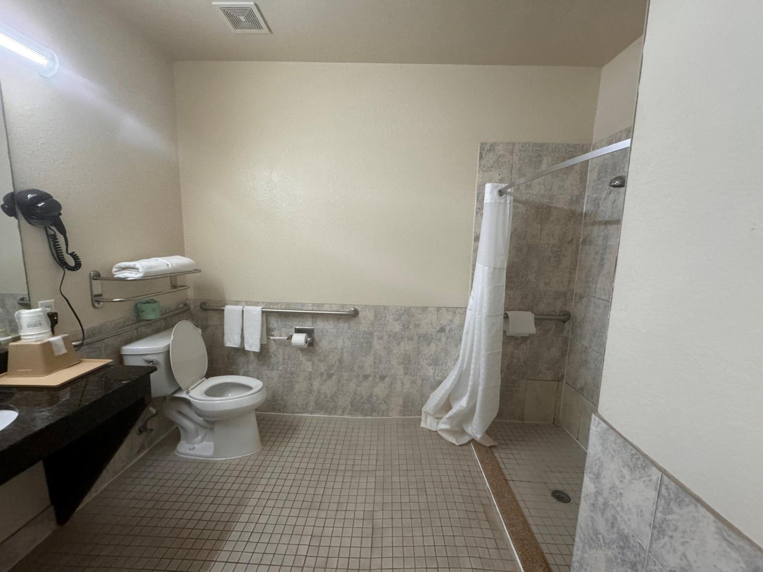 King Room with Bath Tub - Mobility Accessible/Non-Smoking - Photo 9