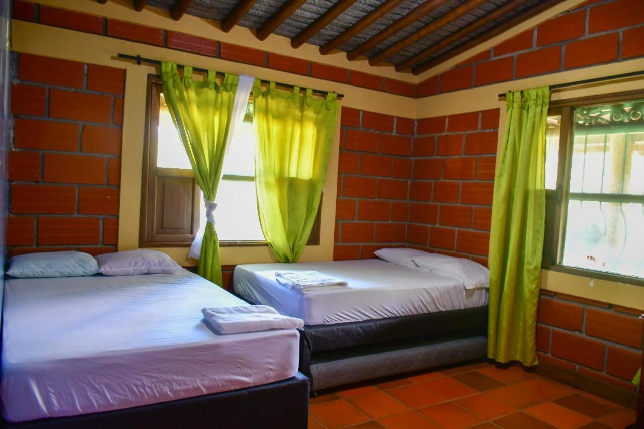 Three-Bedroom House photo 1