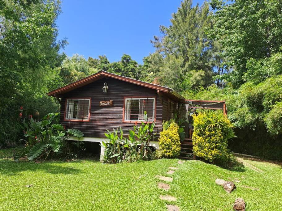 One-Bedroom House photo 3