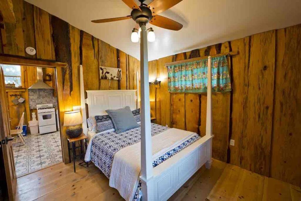 One-Bedroom House photo 1