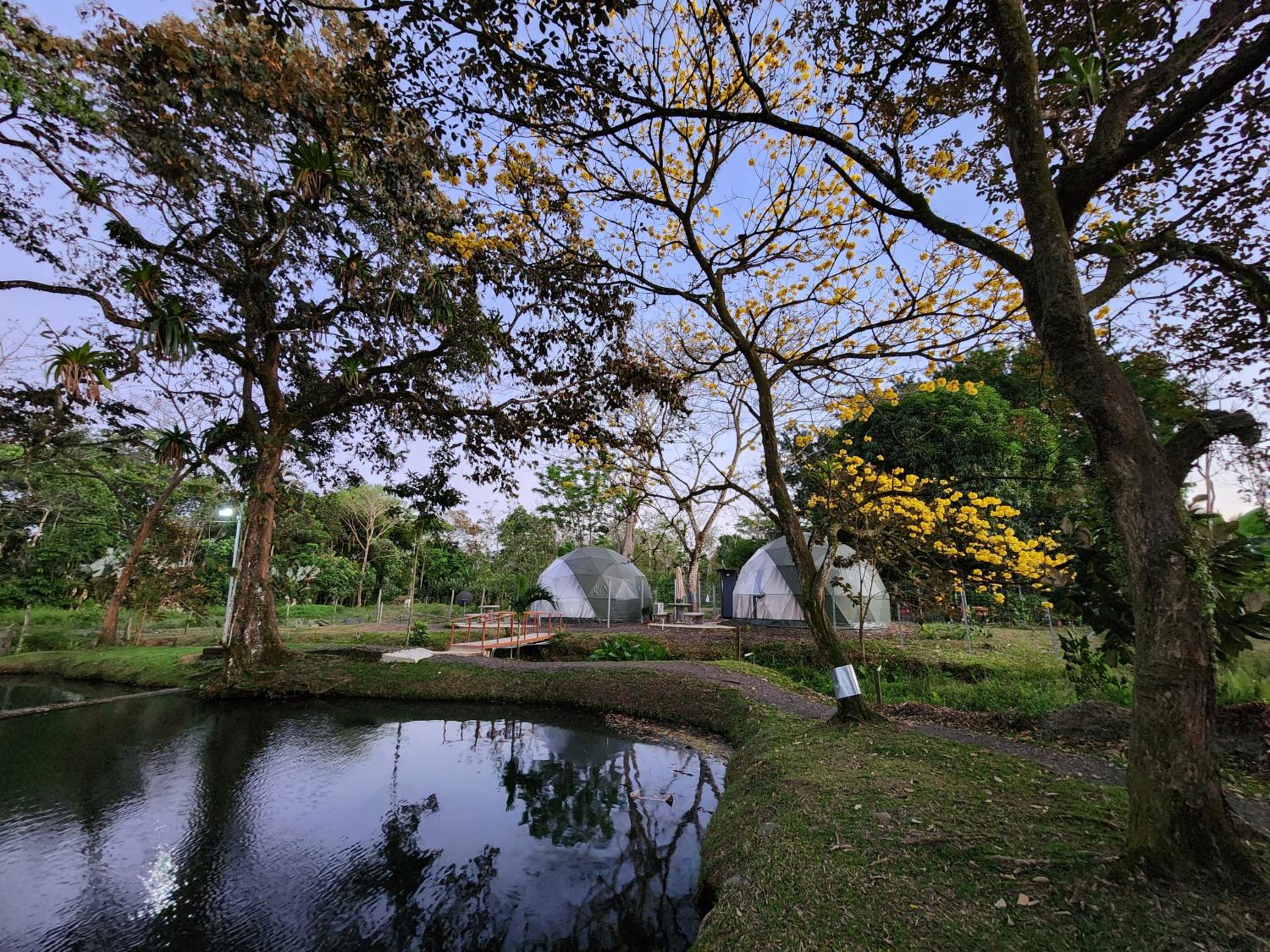 Deluxe Villa photo 3