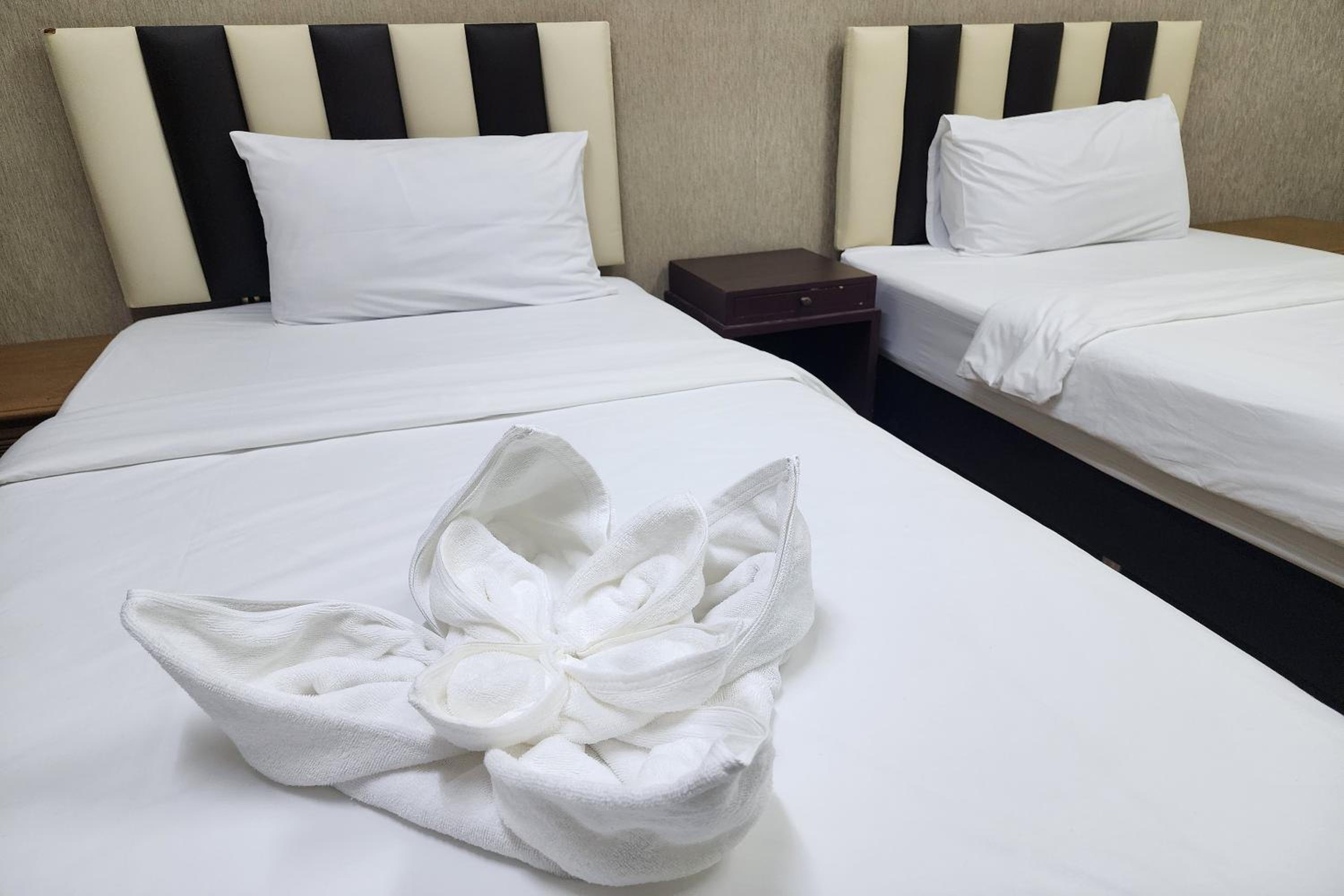Standard Twin Room - Photo 4