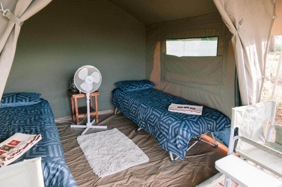 Basic Tent photo 1
