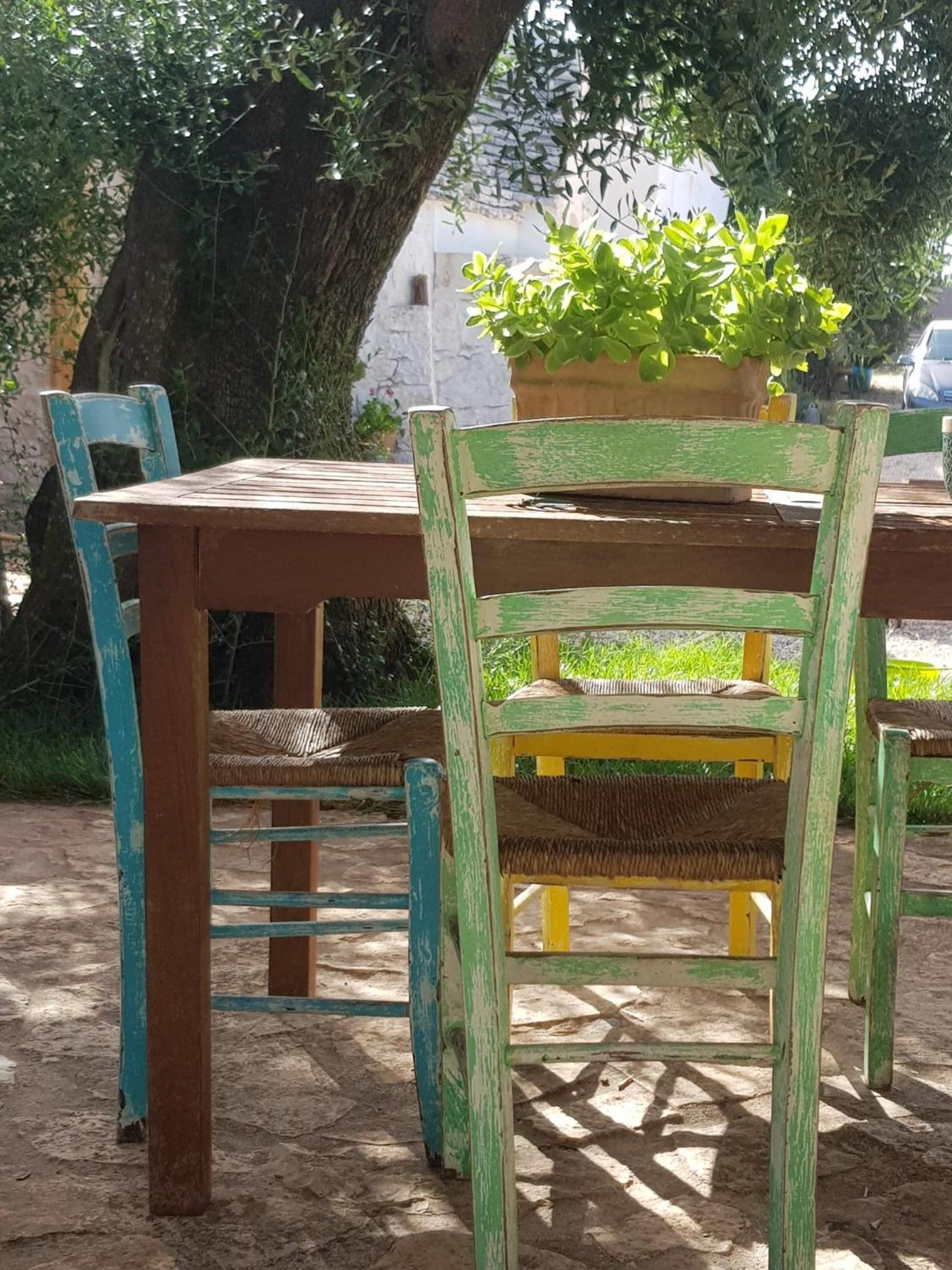 Vacation Home photo 3