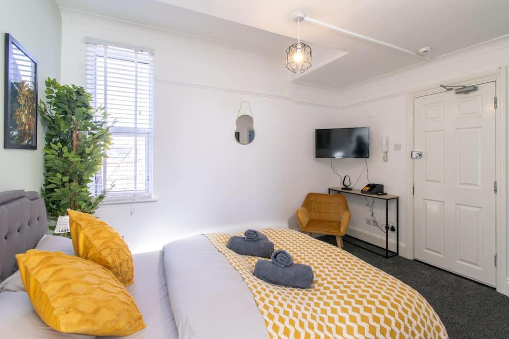 One-Bedroom Apartment photo 3
