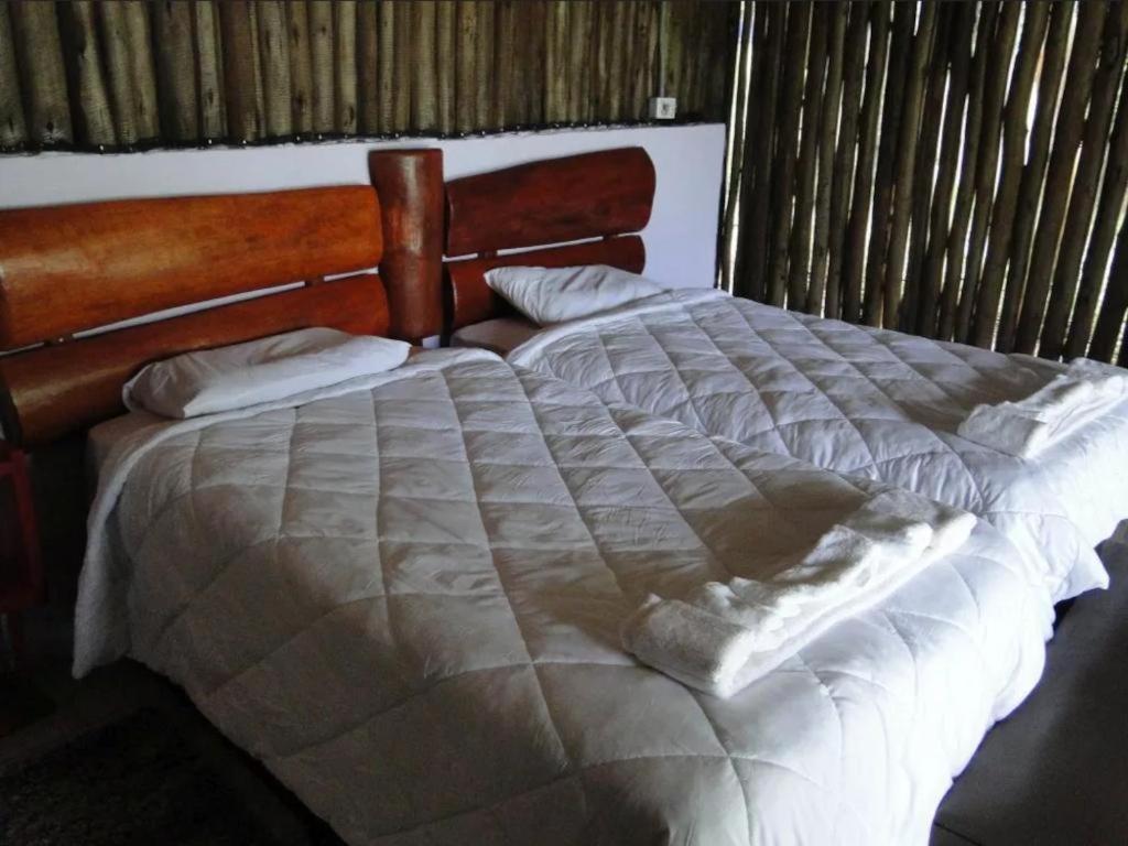 Comfort Chalet photo 1