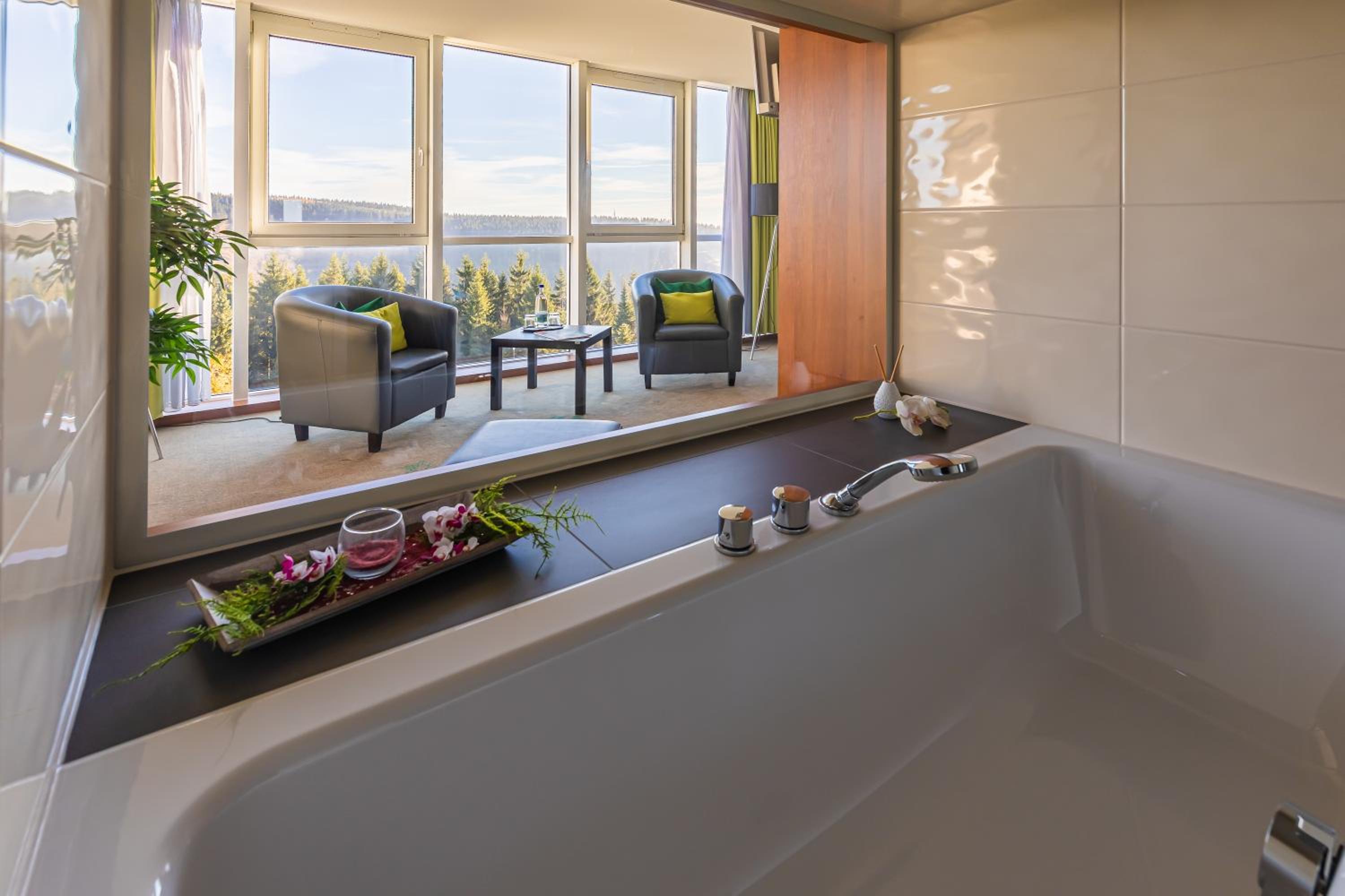 Panorama Suite (1 adult, no pets) - Photo 4