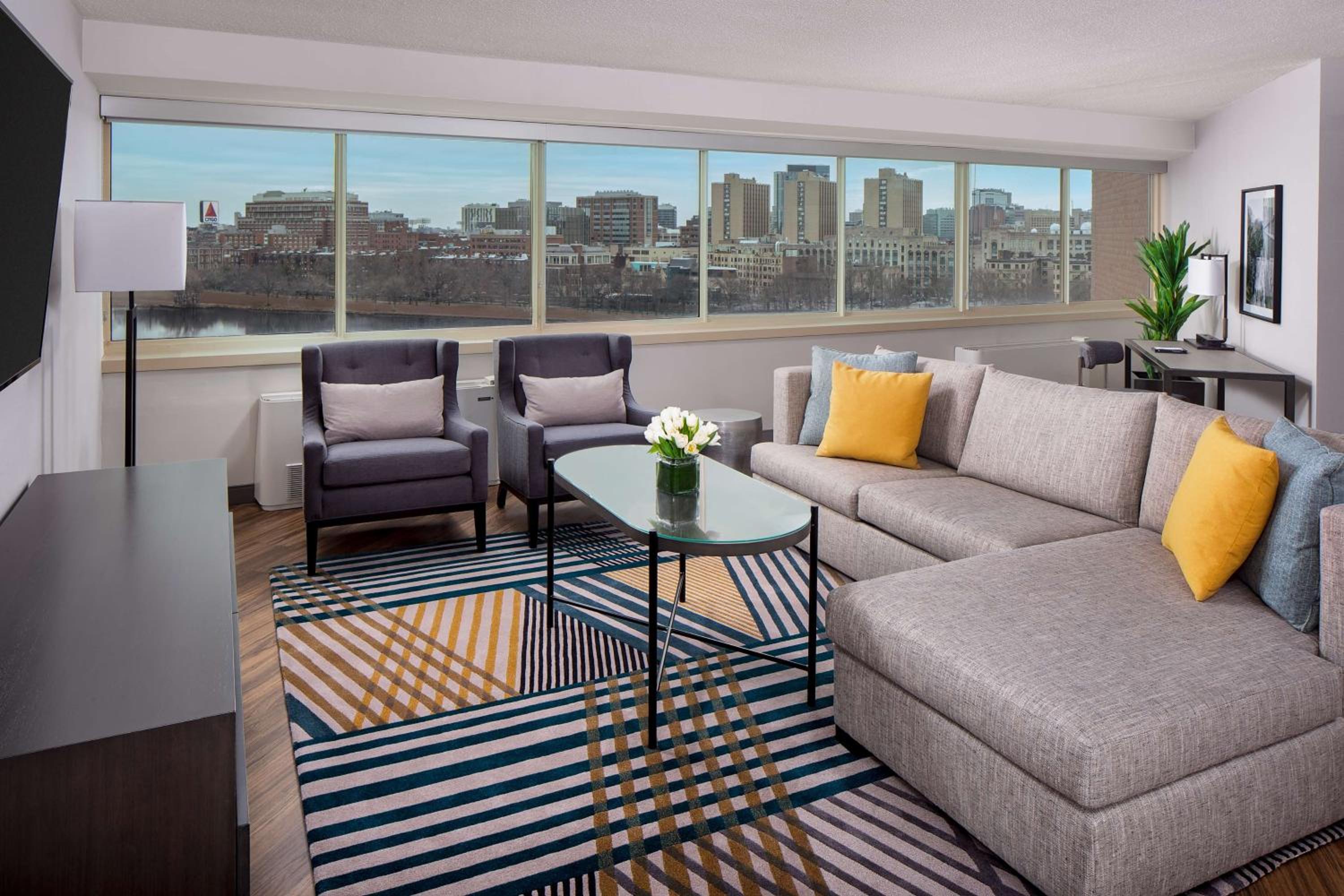 Suite - Photo 1