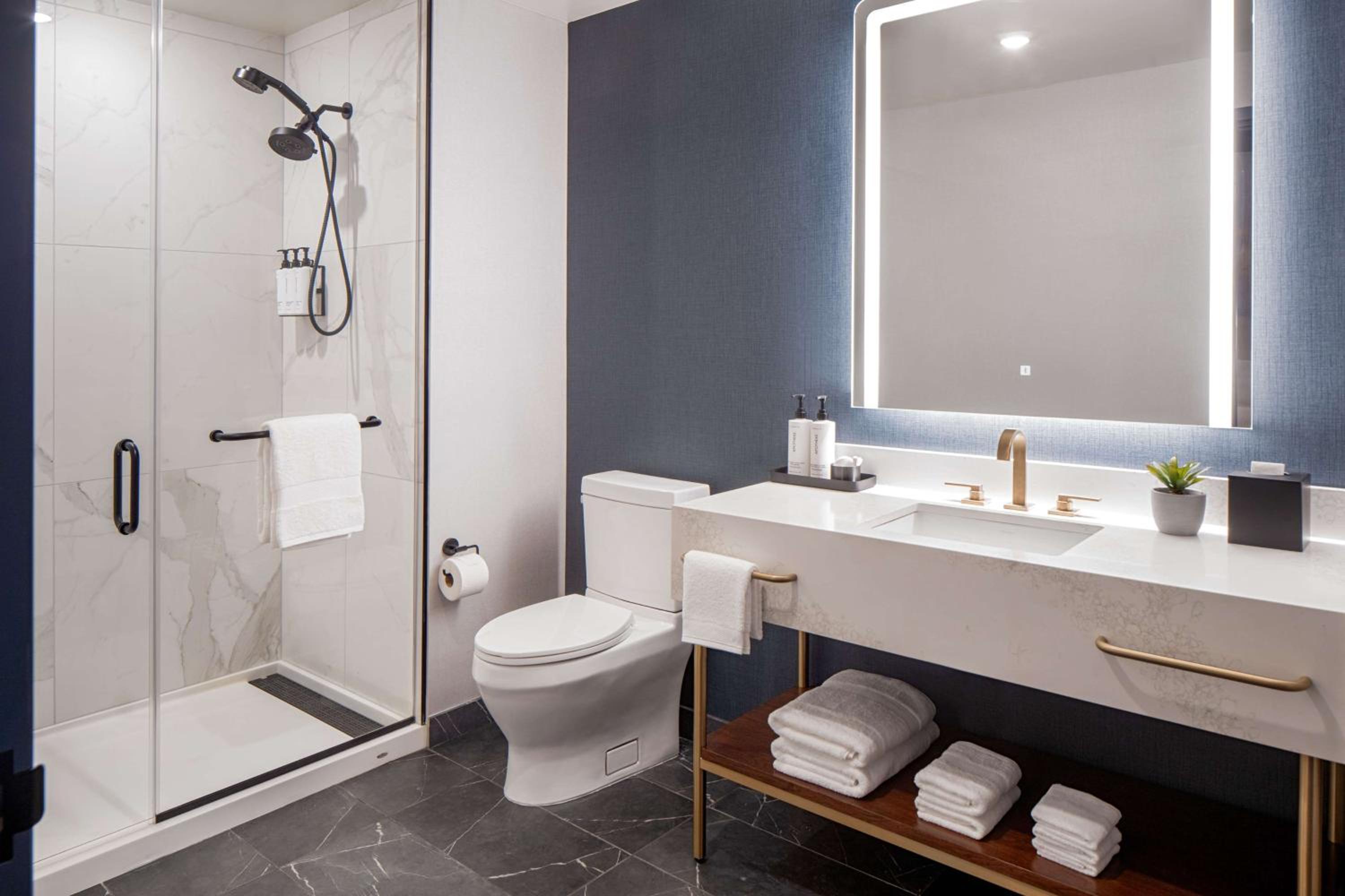 One-Bedroom King Suite - Photo 6