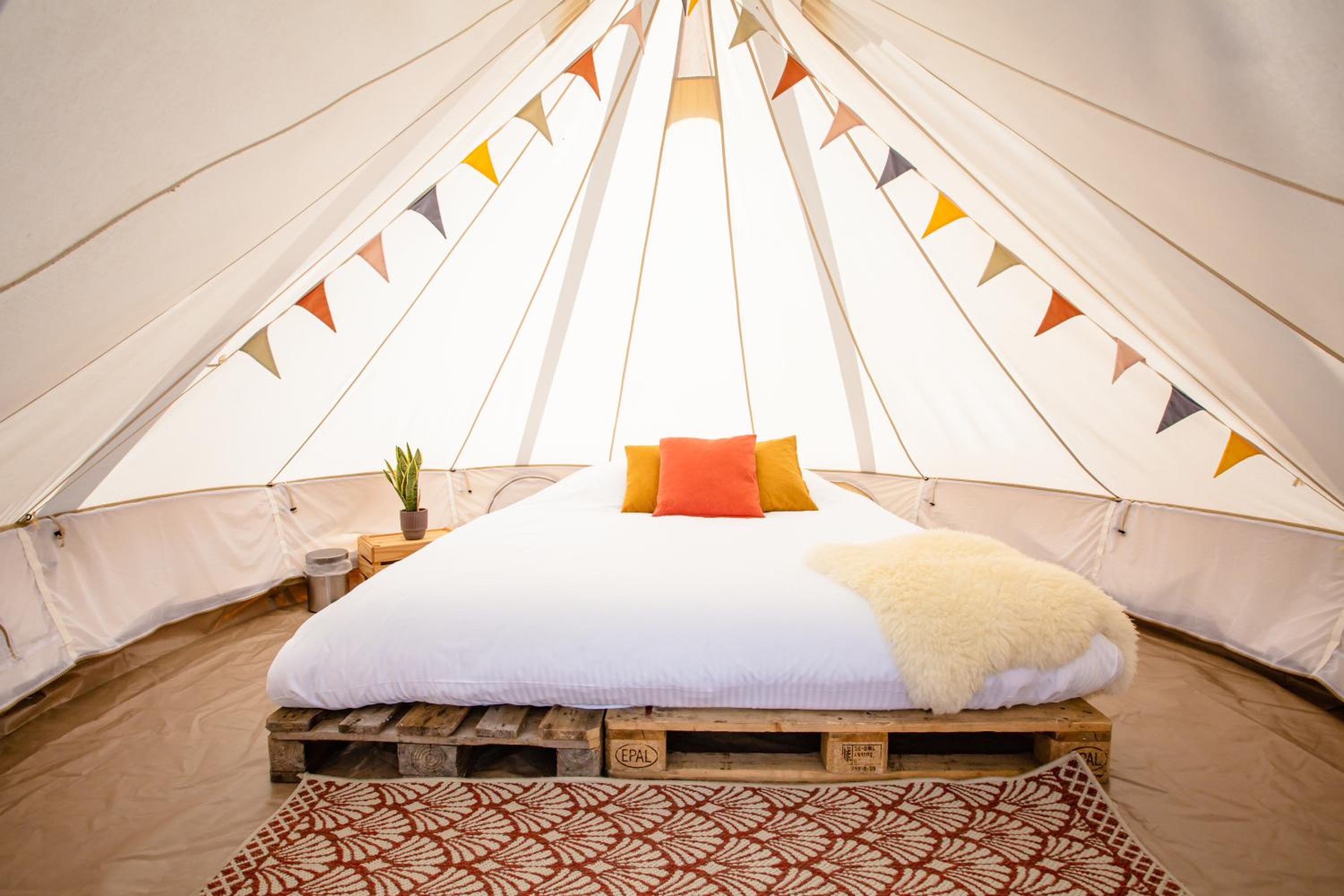 Tent photo 1